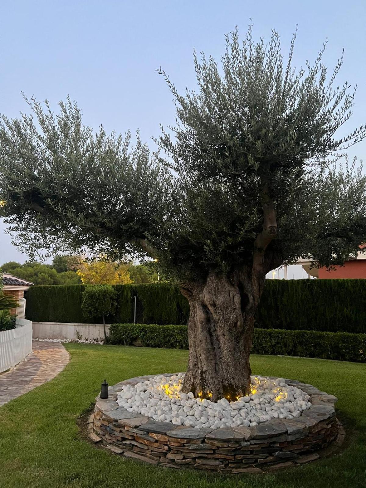 Luxury Tropical Villa in Grao Benicassim