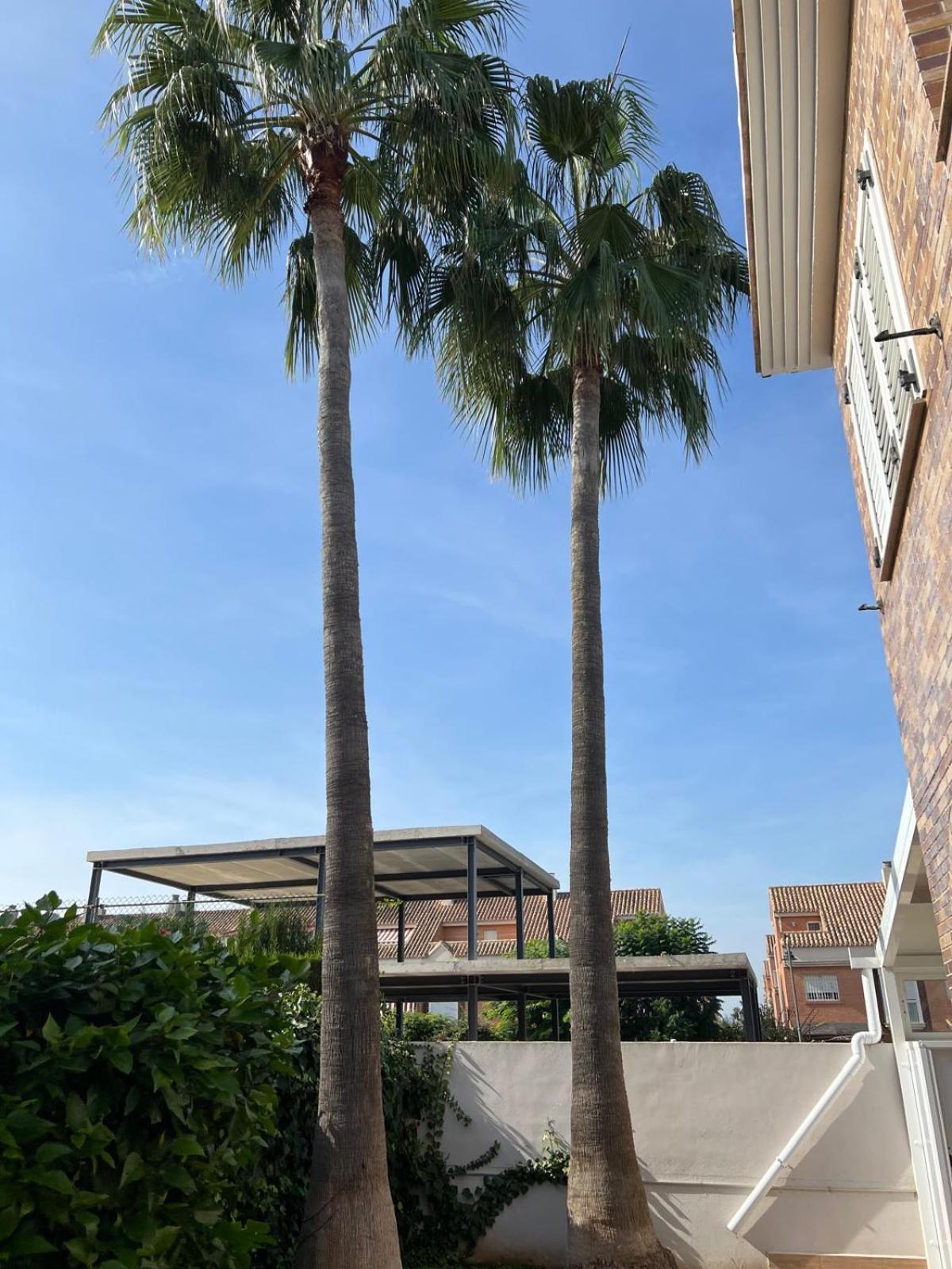 Luxury Tropical Villa in Grao Benicassim