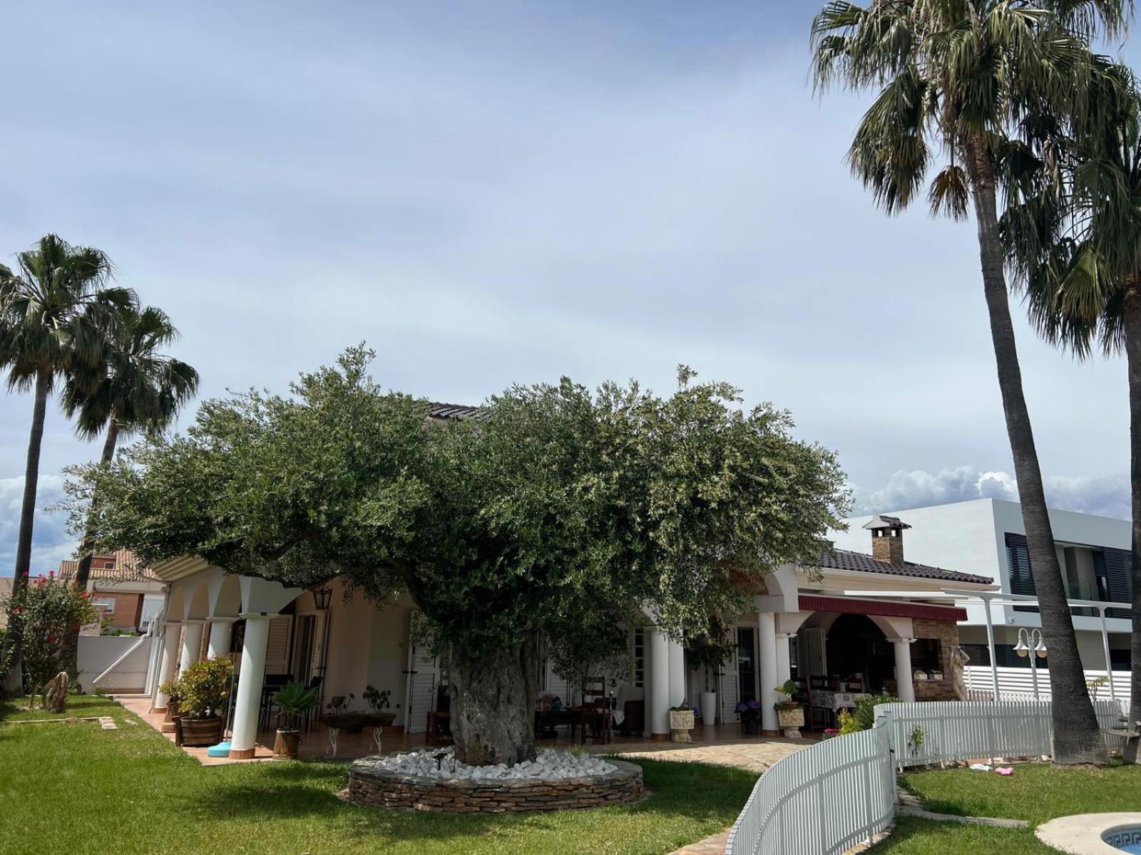 Luxury Tropical Villa in Grao Benicassim