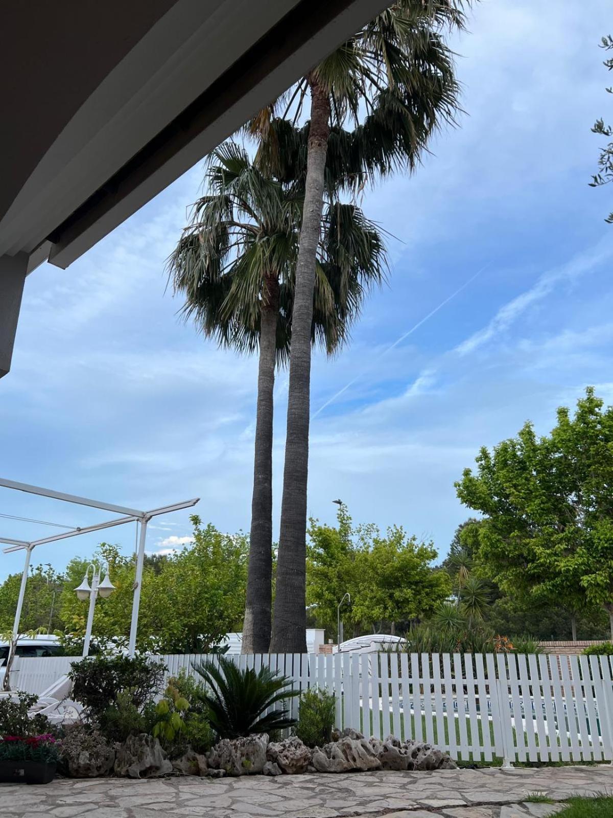 Luxury Tropical Villa in Grao Benicassim