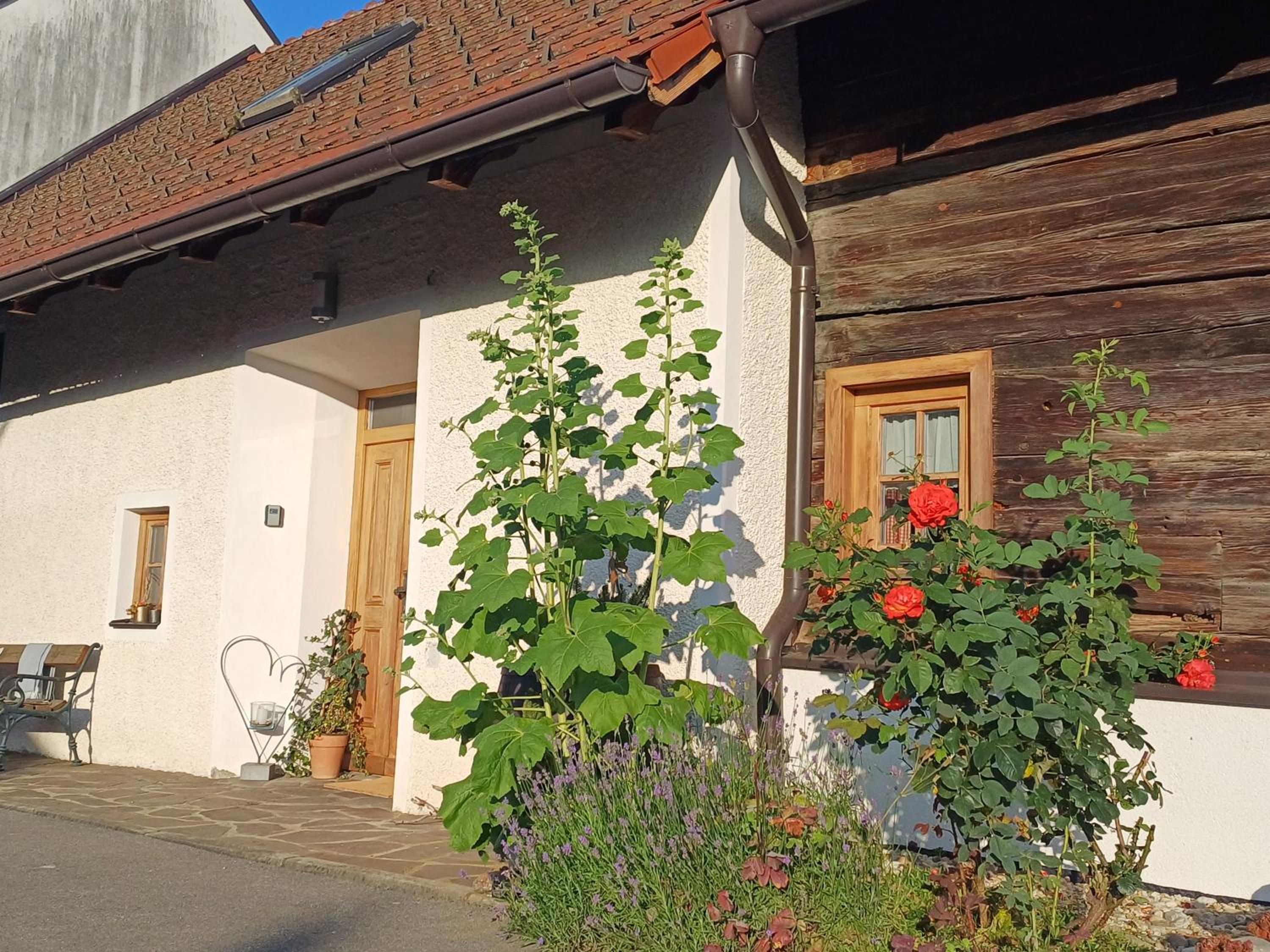 Landhaus Schusterfranz