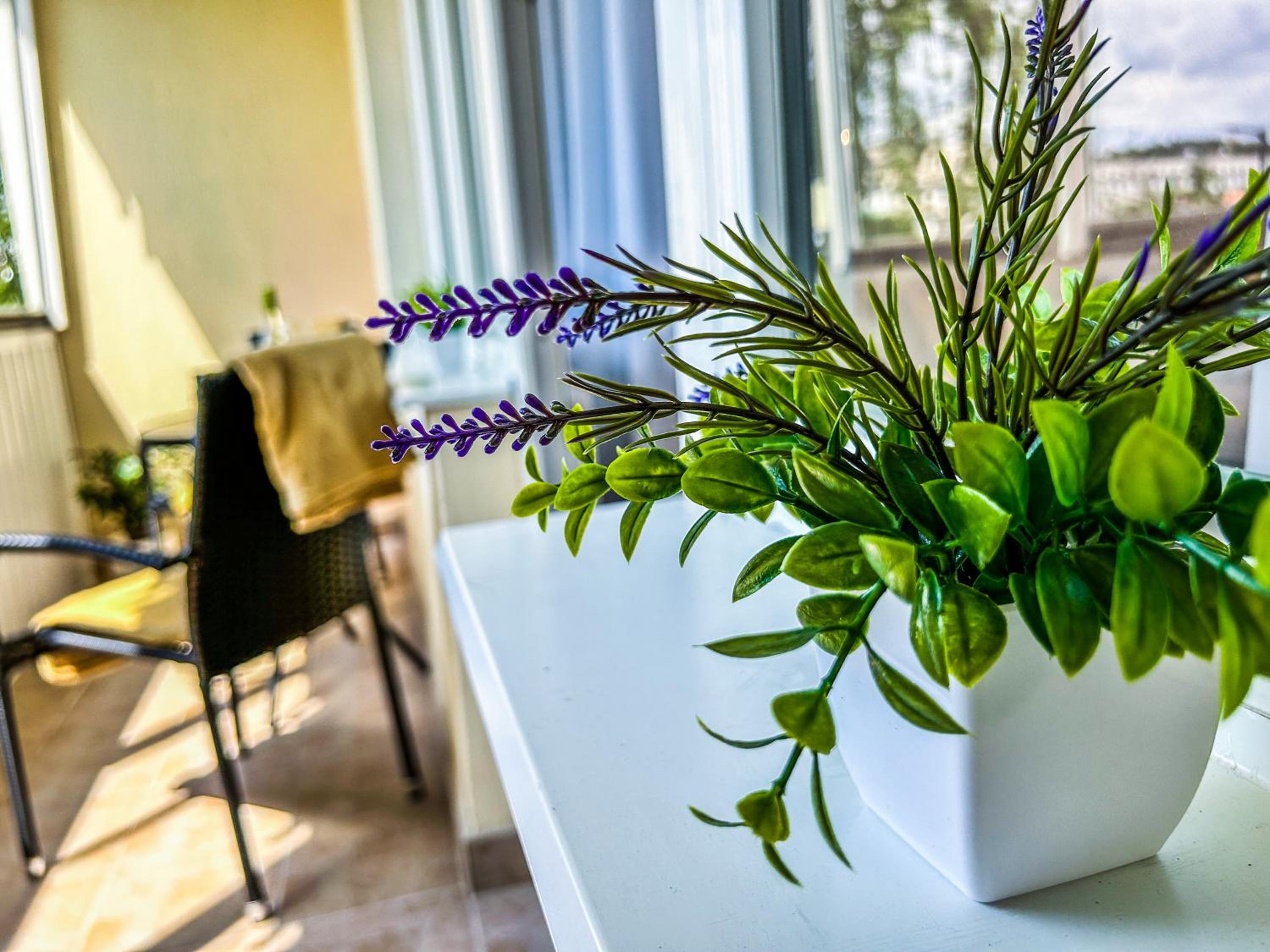 Villa Blue City Apartman