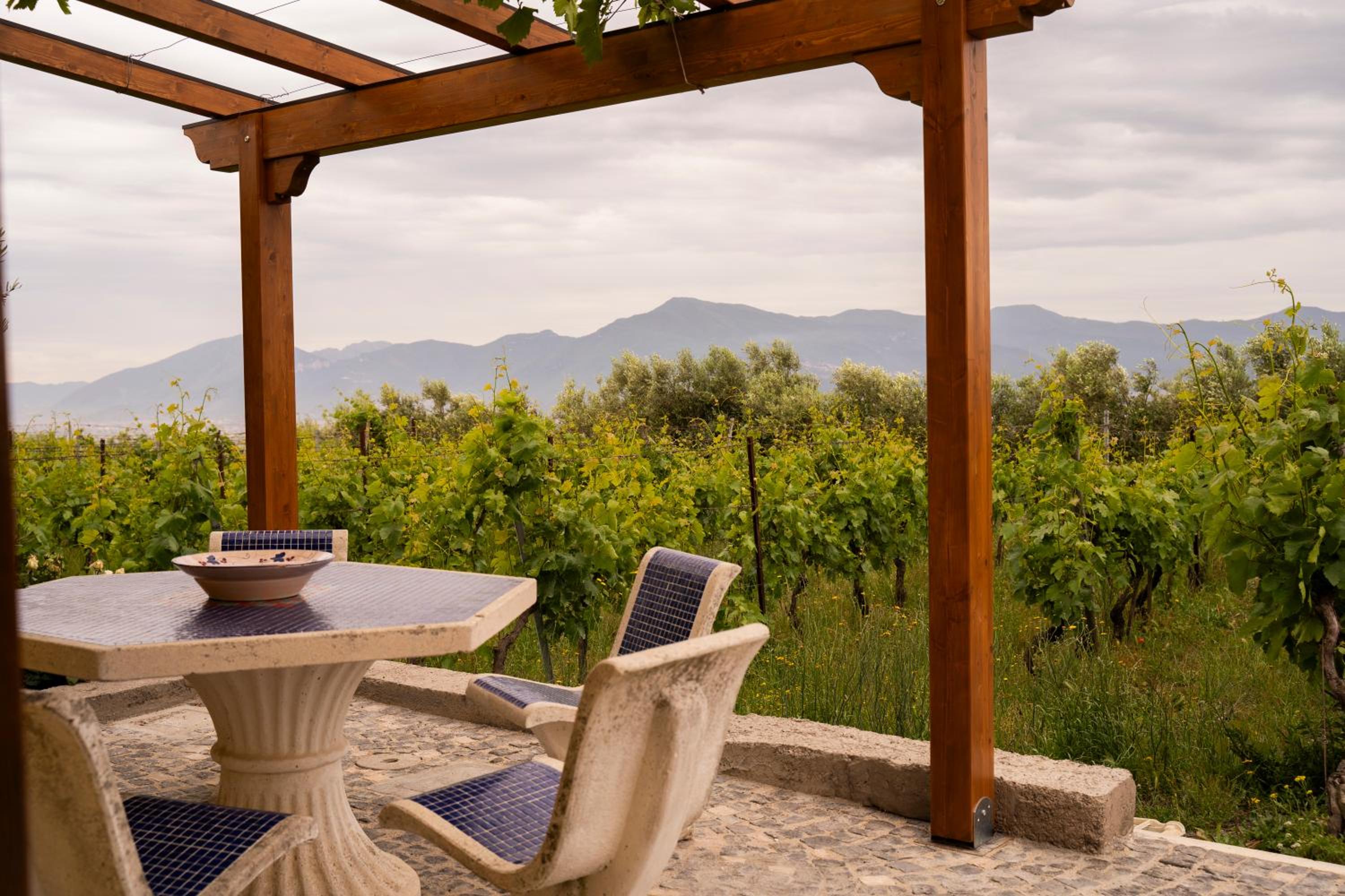 Vesuvio Inn Guest House e Wine Experience, photo 12