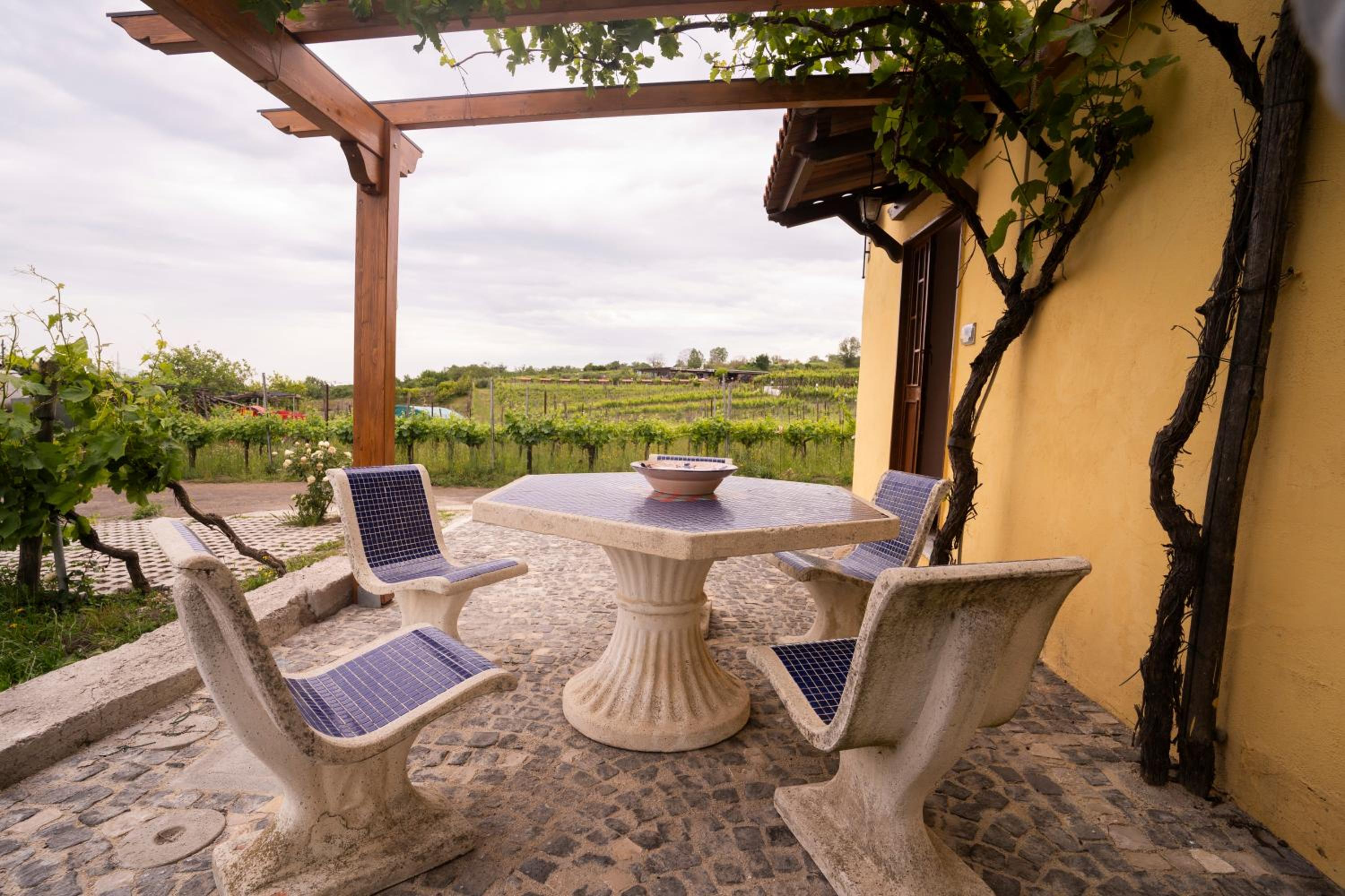 Vesuvio Inn Guest House e Wine Experience, photo 16