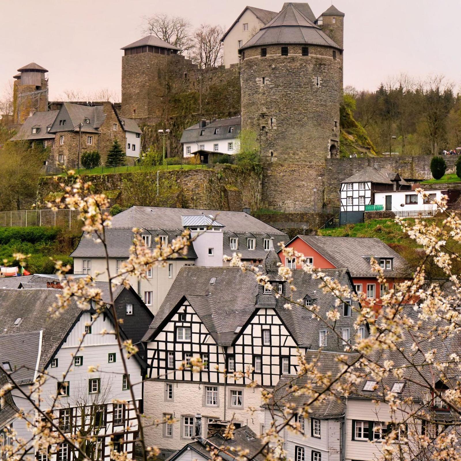 Ferienwohnung Eifel-Life