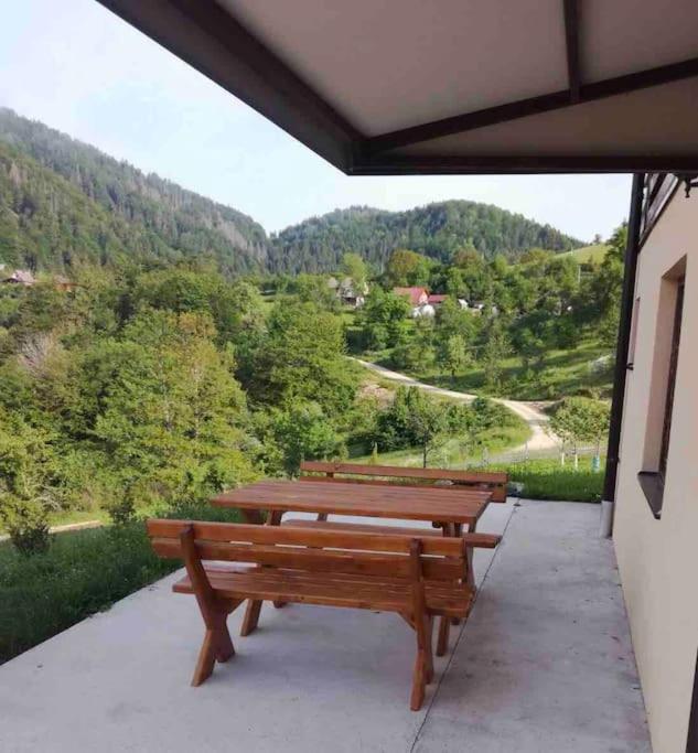 Zaovinski kutak - studio apartment 30m2 view 3