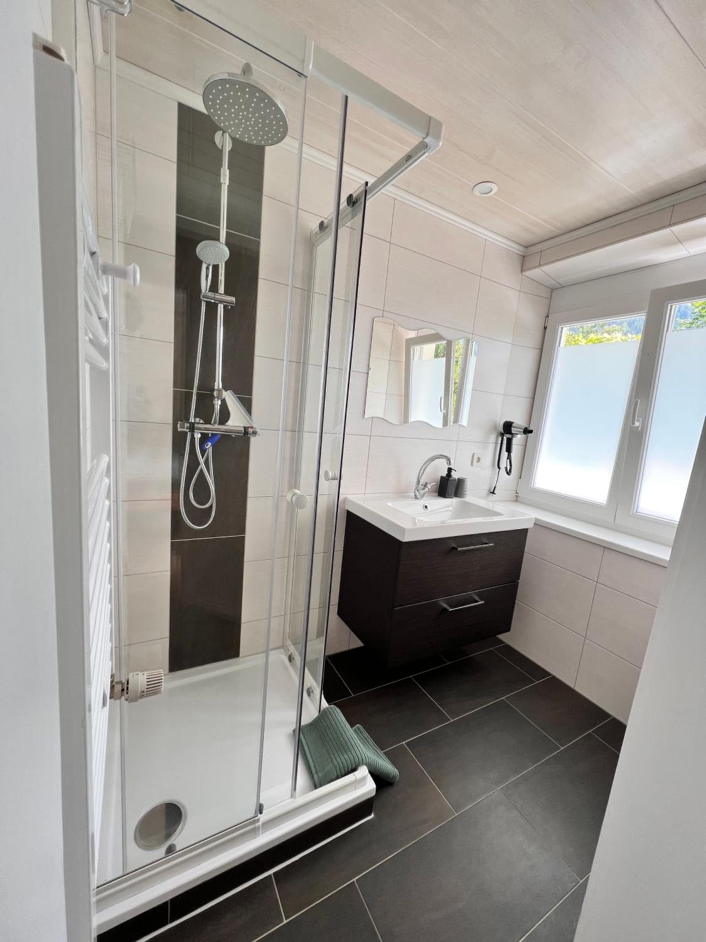 AH Carinthia Mallnitz - Carinthia Appartements