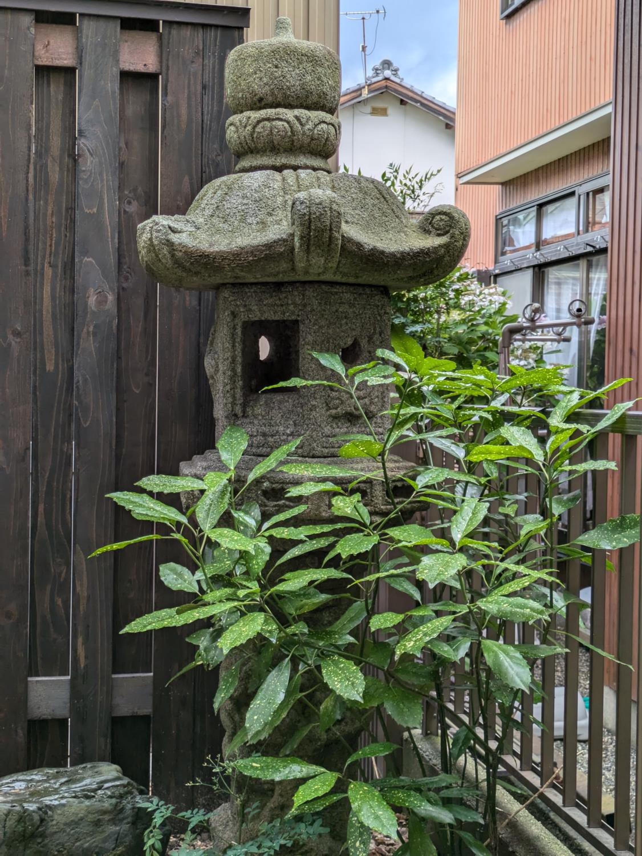 Photo 46