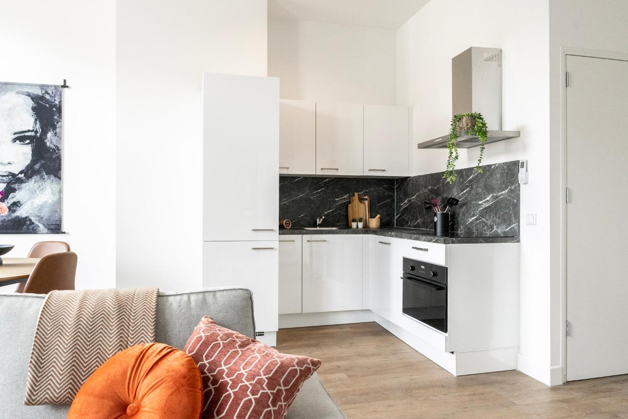 Tilburg 2br apartment, group friendly with kitchen view 3