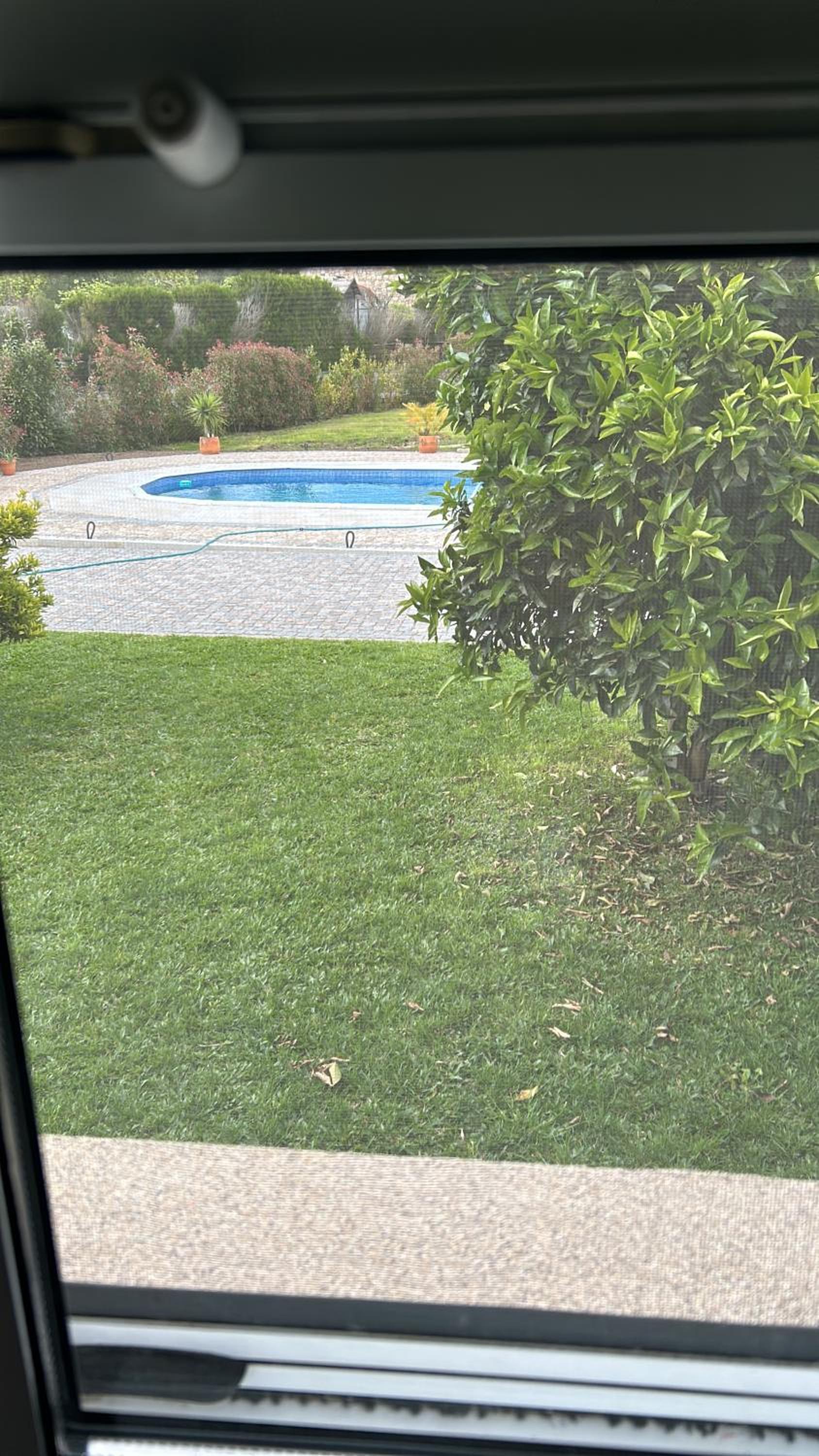 O Eido da Otilia photo 2