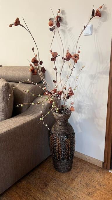 Bojurland Apartment, Bansko