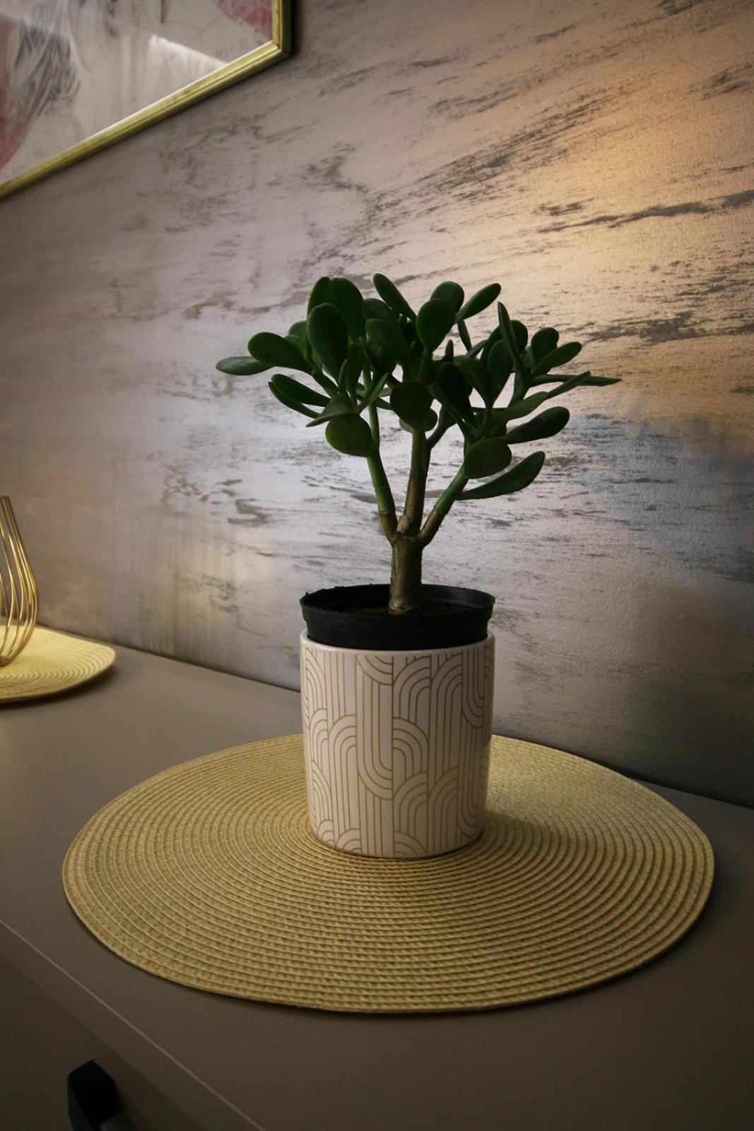 Apartment Sabac