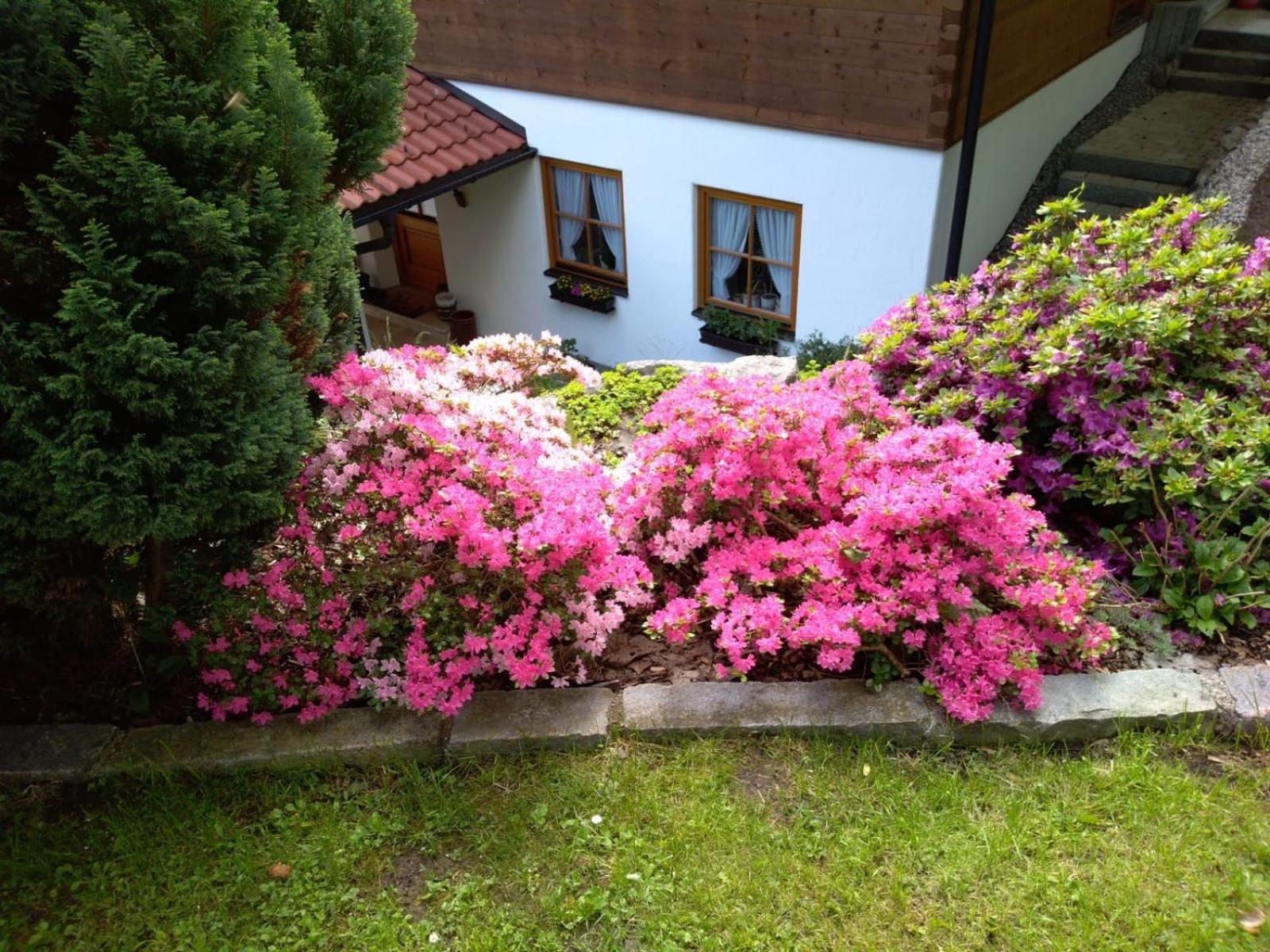 Landhaus am Bergfeld