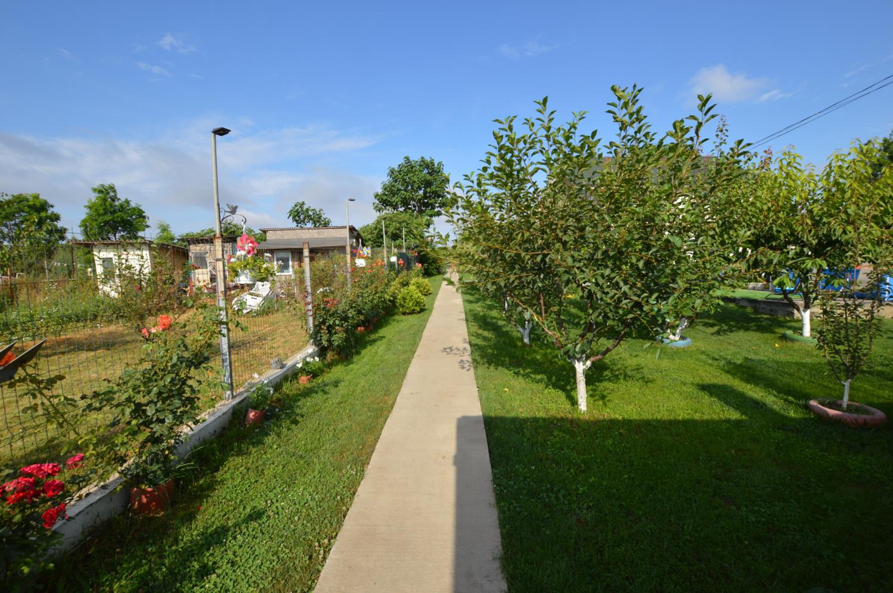 Photo 48