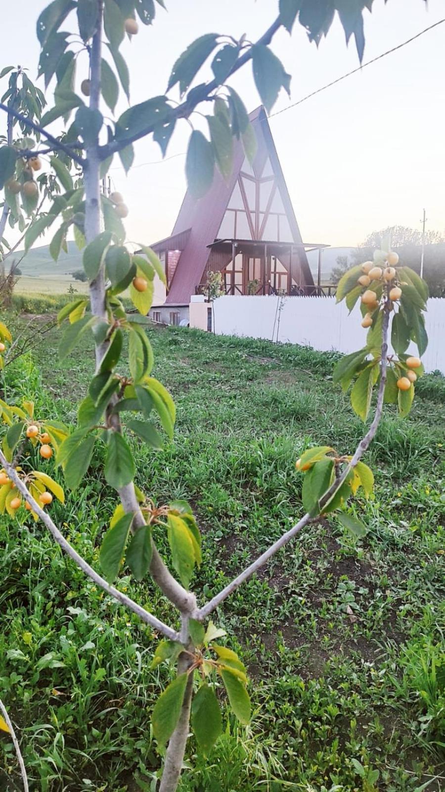 A frame house