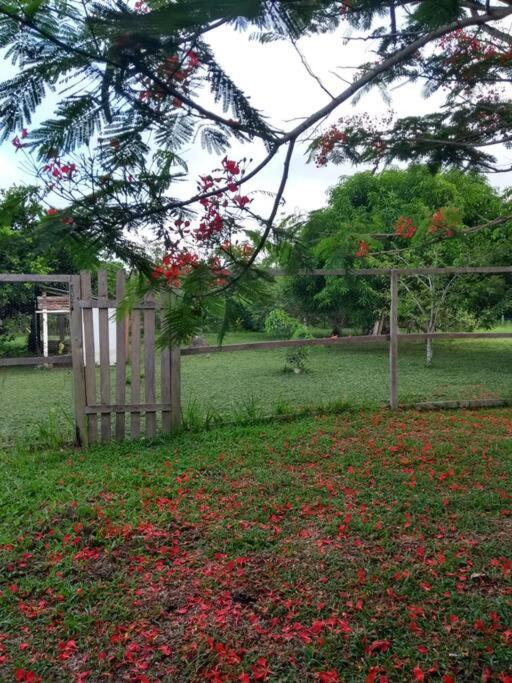 Sitio completo no rio aneba com quiosque e praia