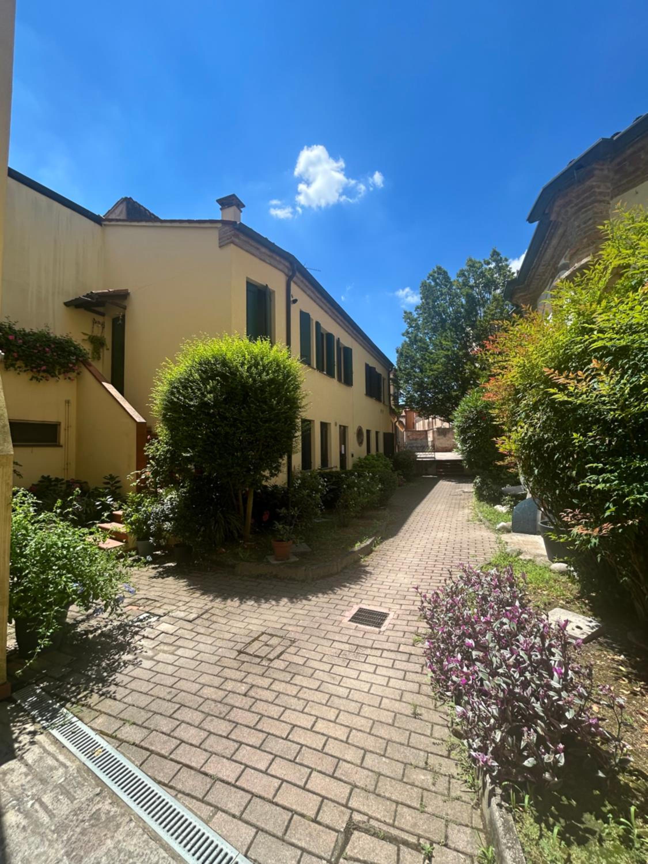 Wood 32 family -jvapartmentRovigo view 2