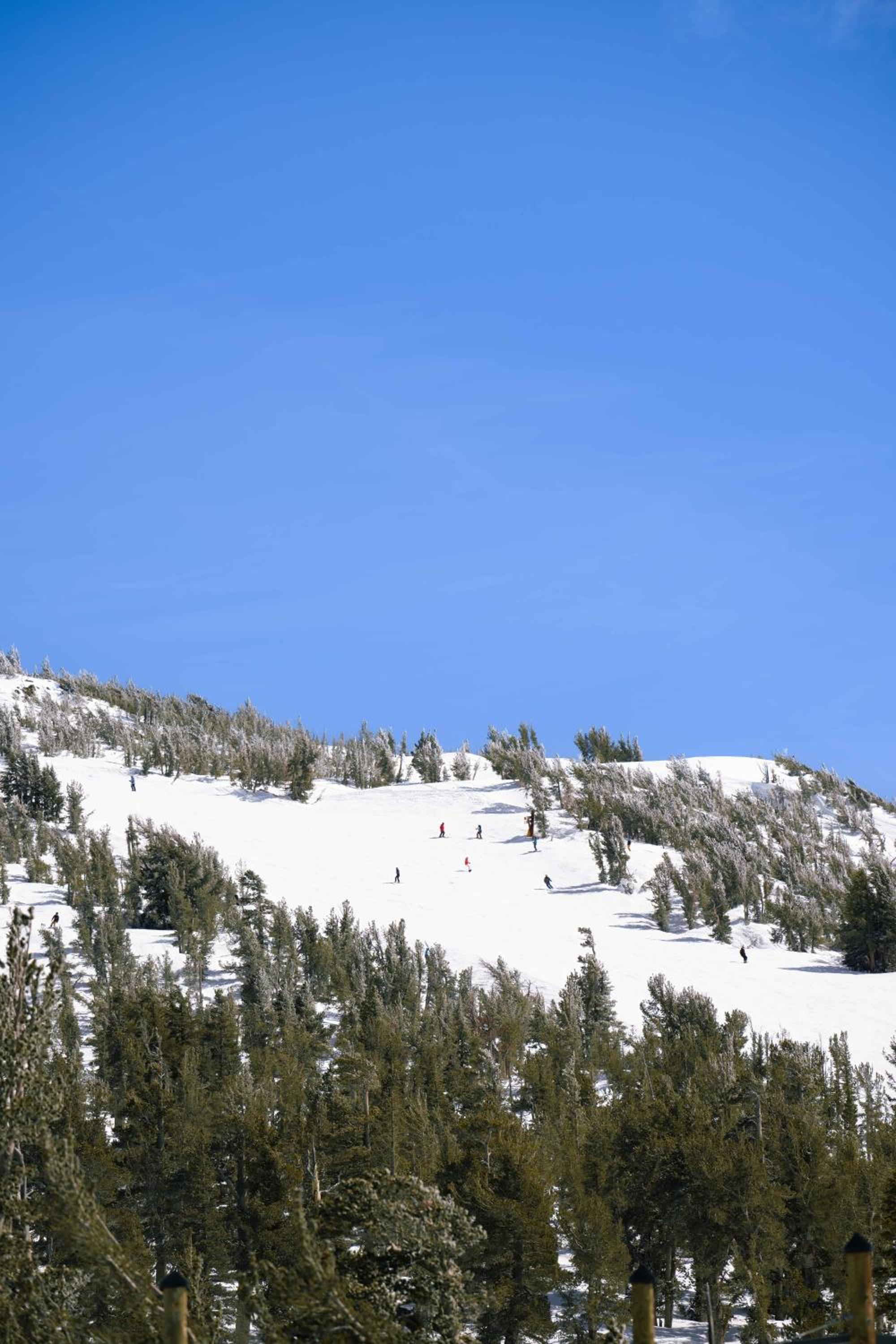 Margaritaville Resort Lake Tahoe, Foto 101