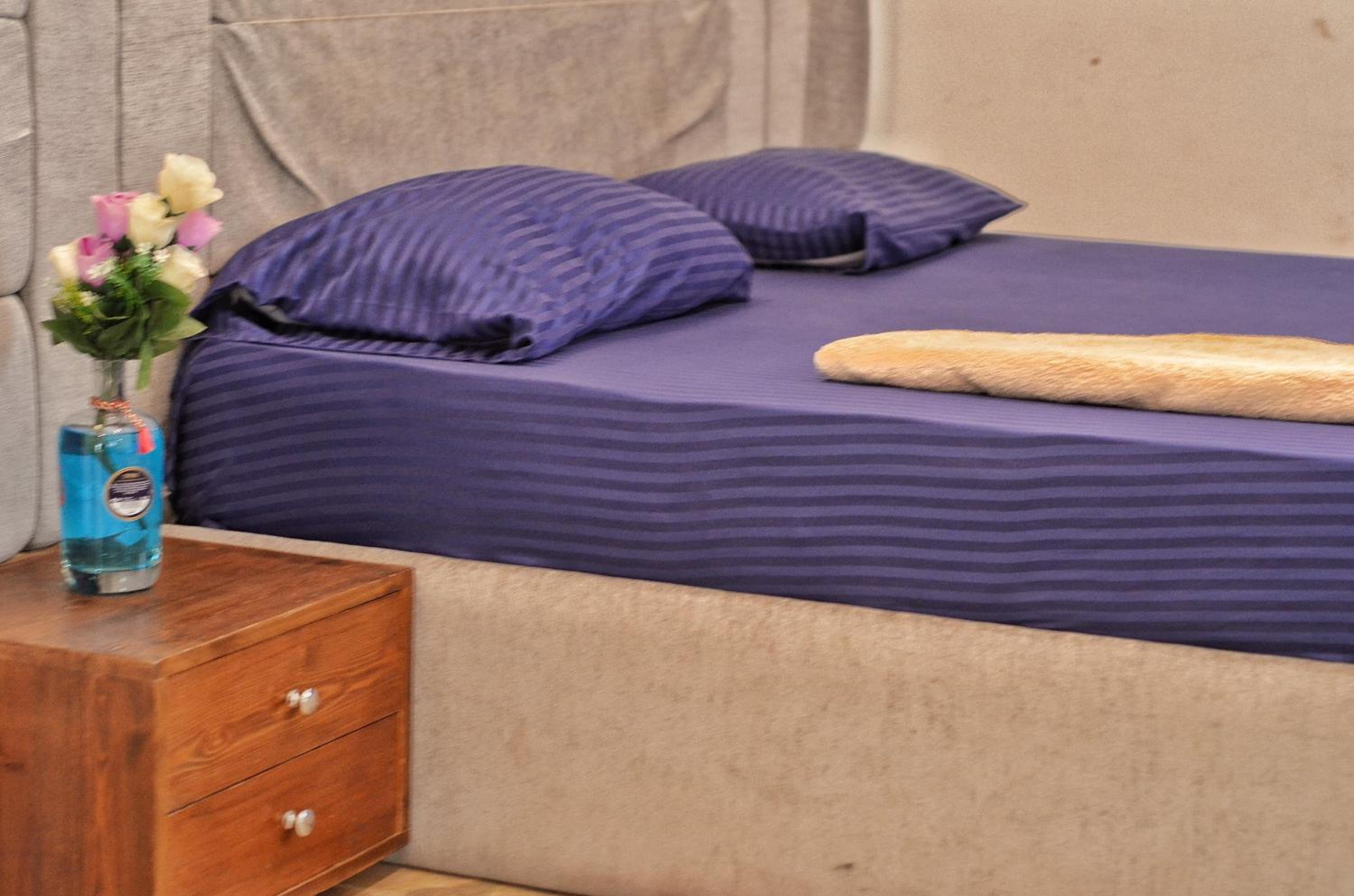 Elite Hostel Dahab