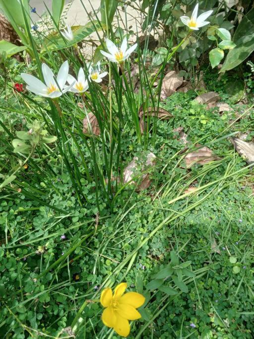 Photo 27