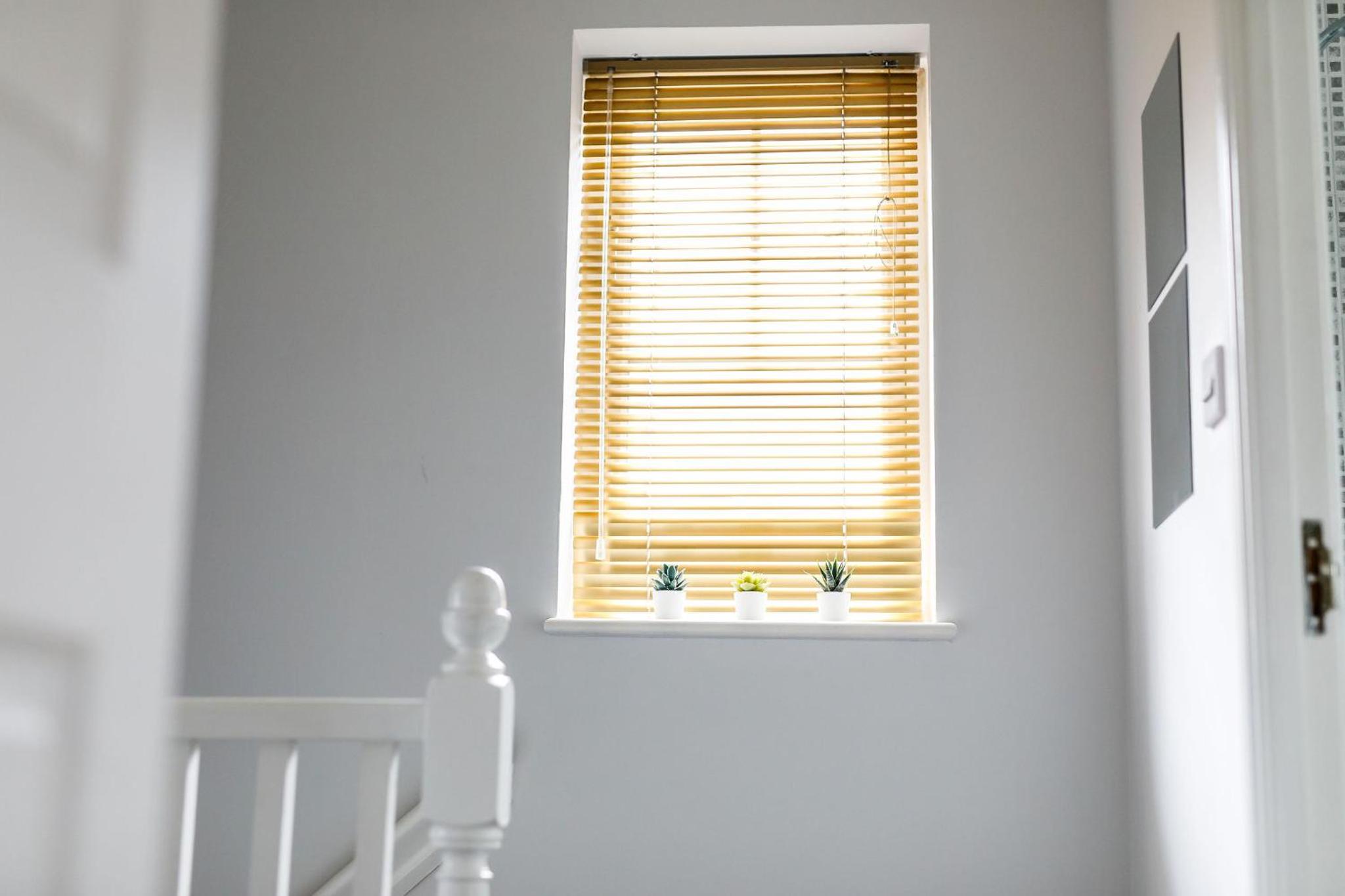 Photo 51