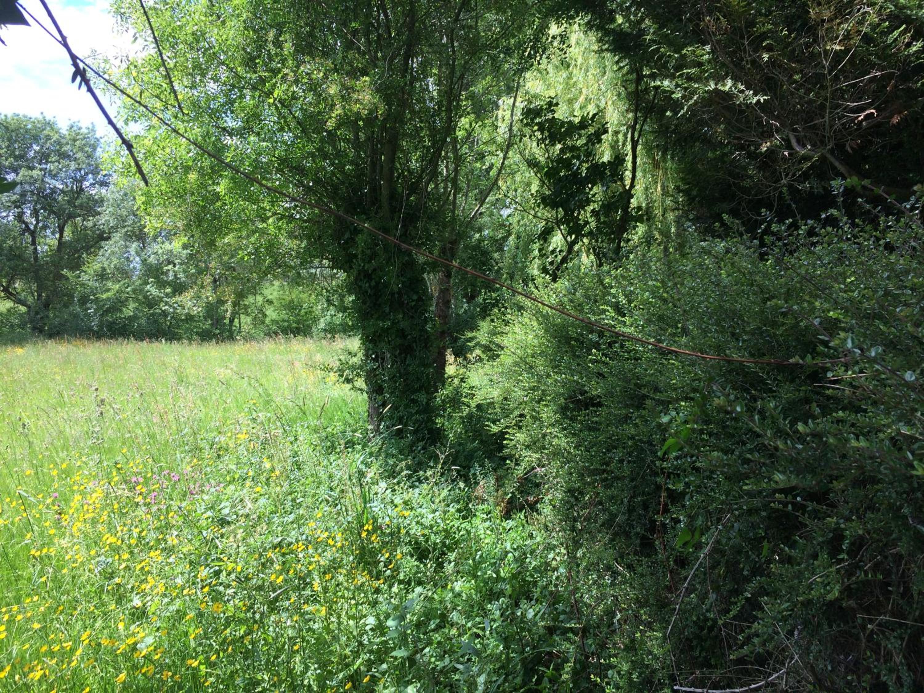 Photo 28