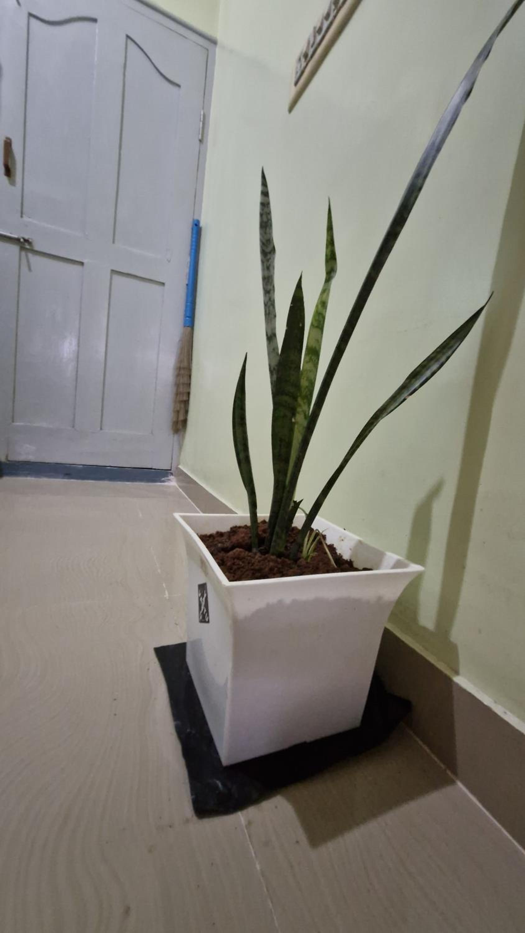 Malgudi Mane Homestay