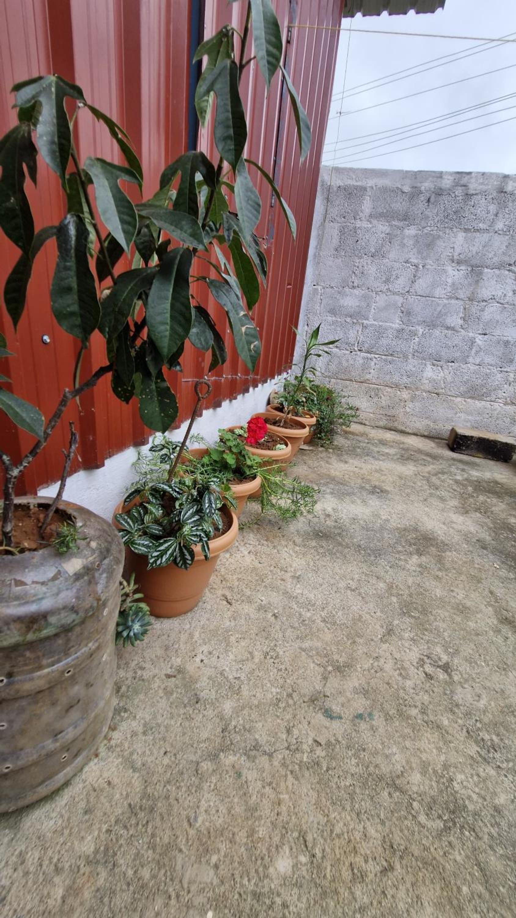 Malgudi Mane Homestay