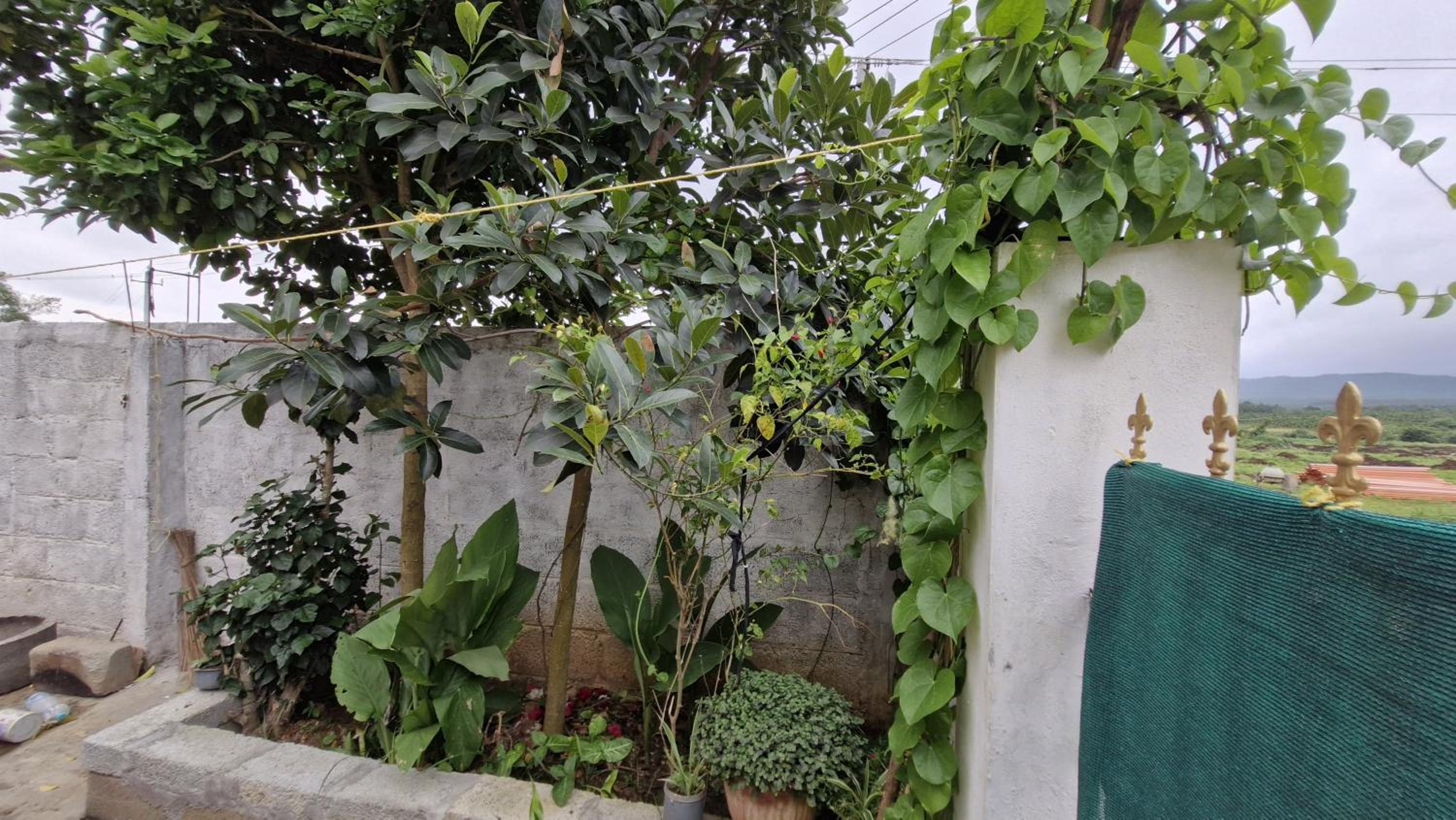 Malgudi Mane Homestay
