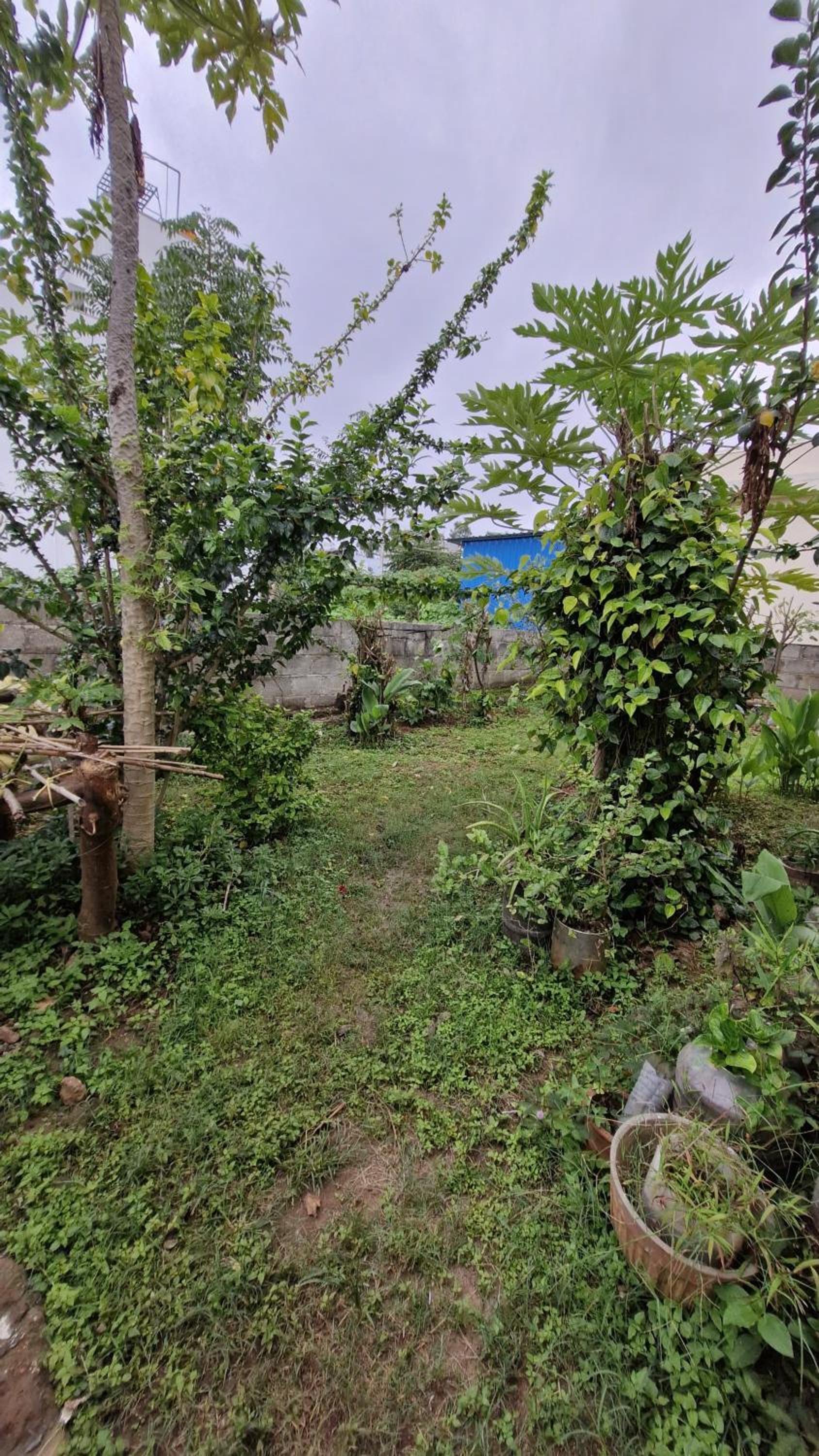 Malgudi Mane Homestay