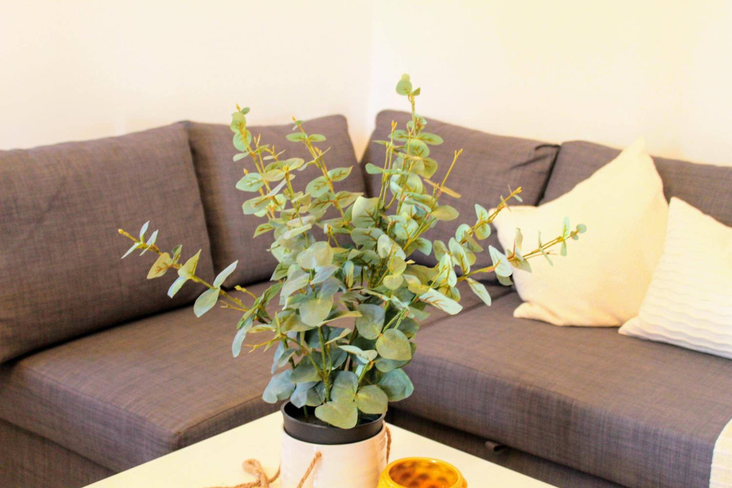 Luxurious and Spacious House - 3 Minutes from the Beach and 1 hour from Rome view 4