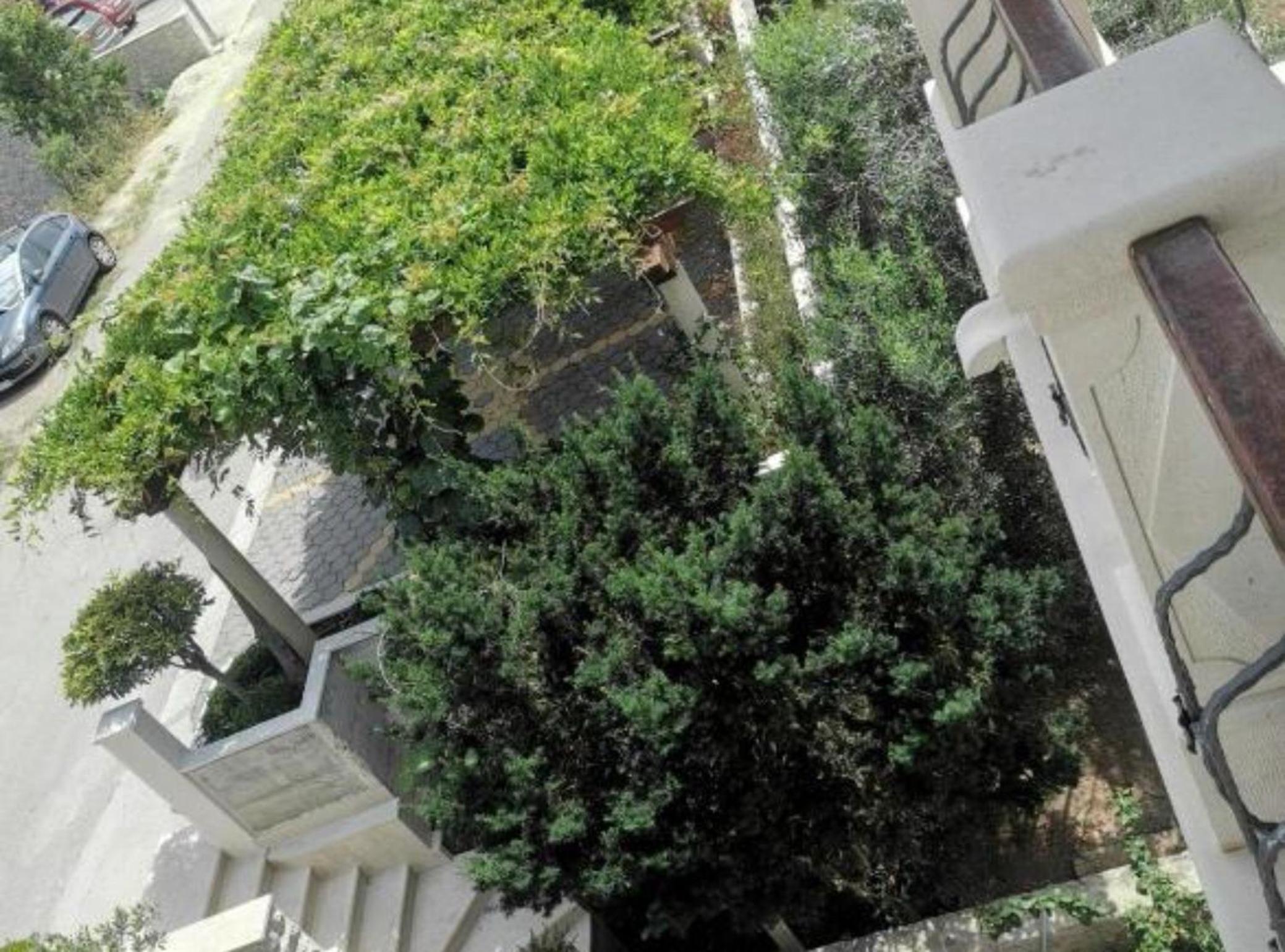 Apartments White House view 4