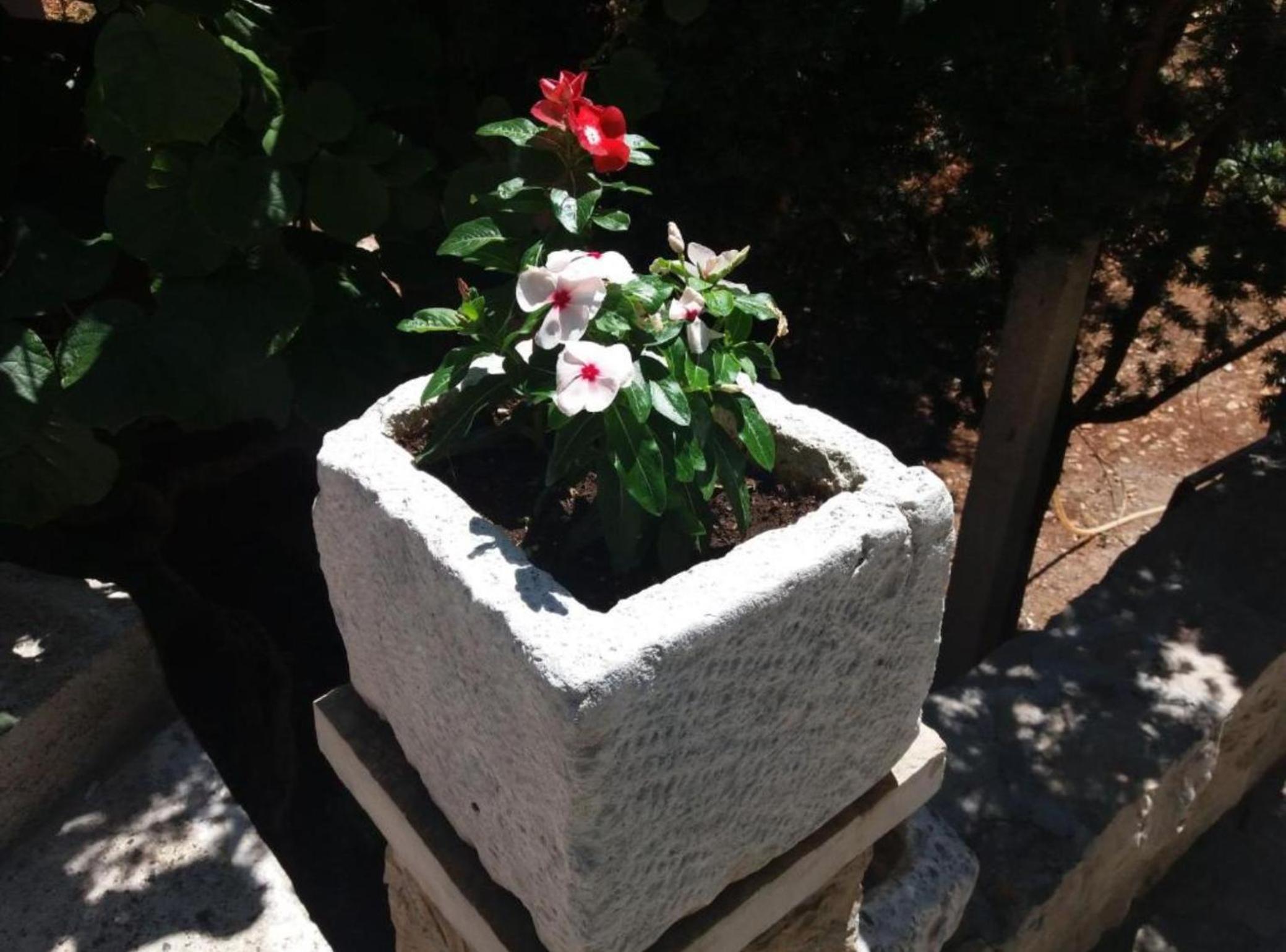 Photo 34