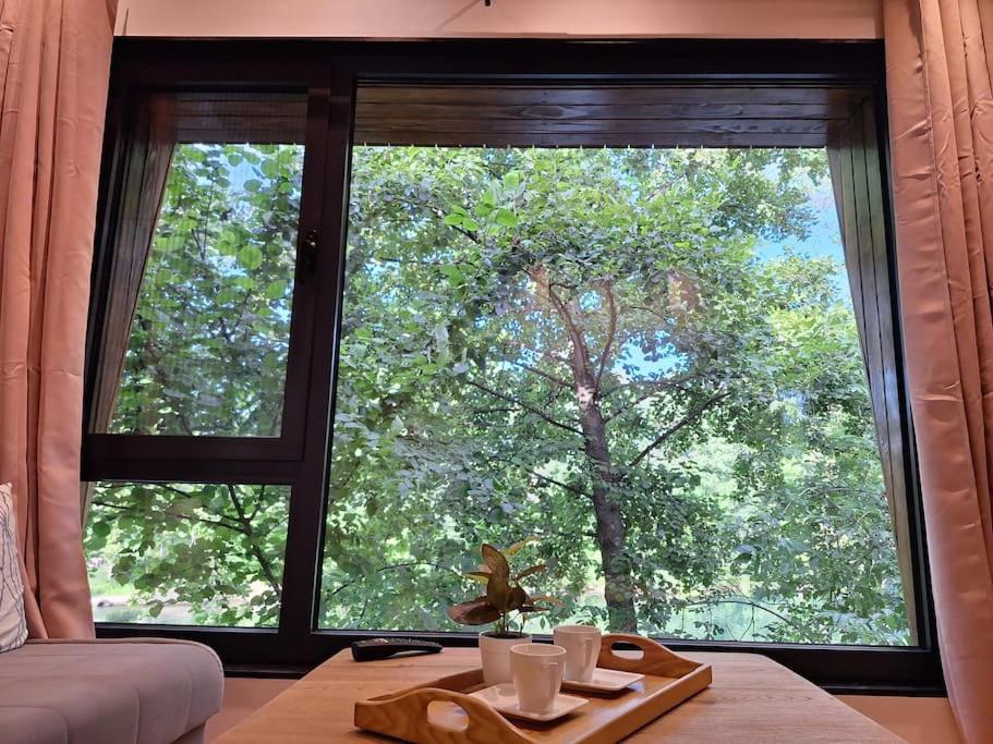 ORAH HOUSE, a unique and unforgettable vacation on a private island