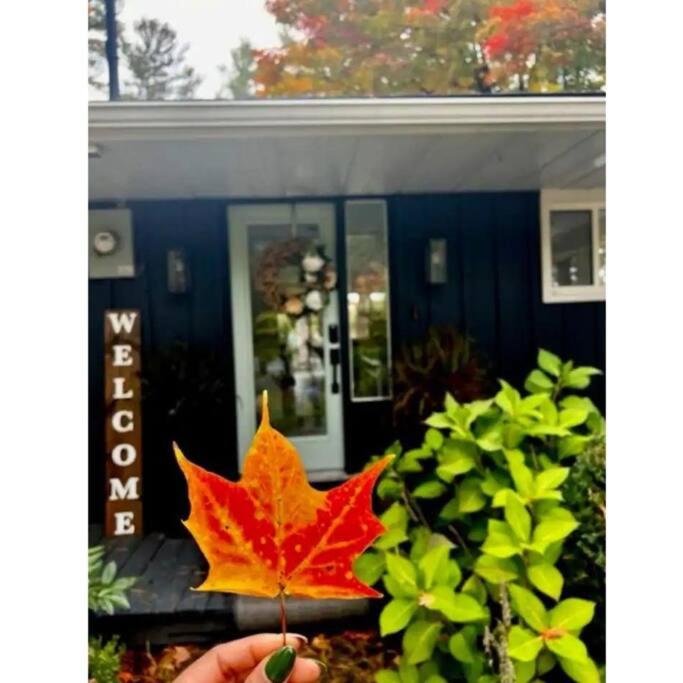 Lux Muskoka