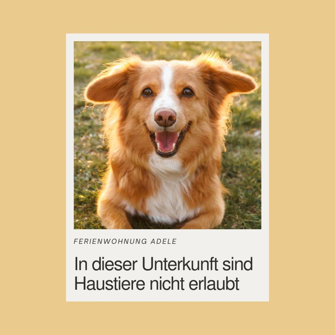 Ferienwohnung Adele Objekt-ID 12114-8