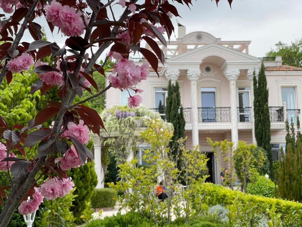 Olympia Sozopol