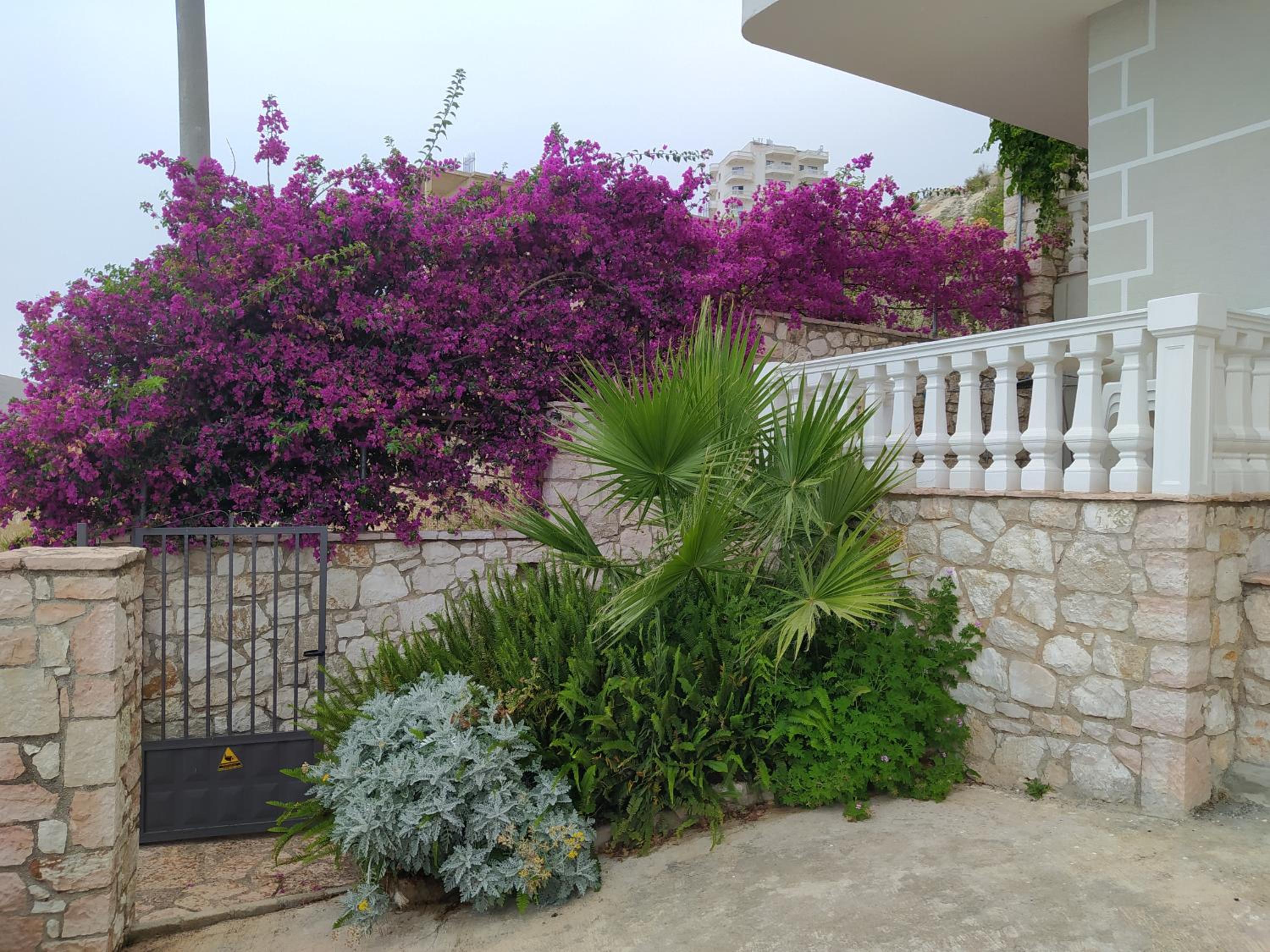 Villa Alimema