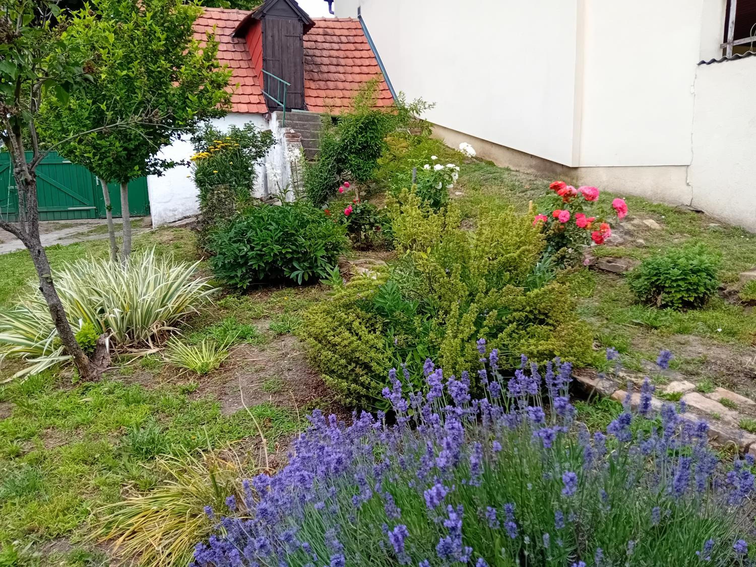 Ferienhaus Anna