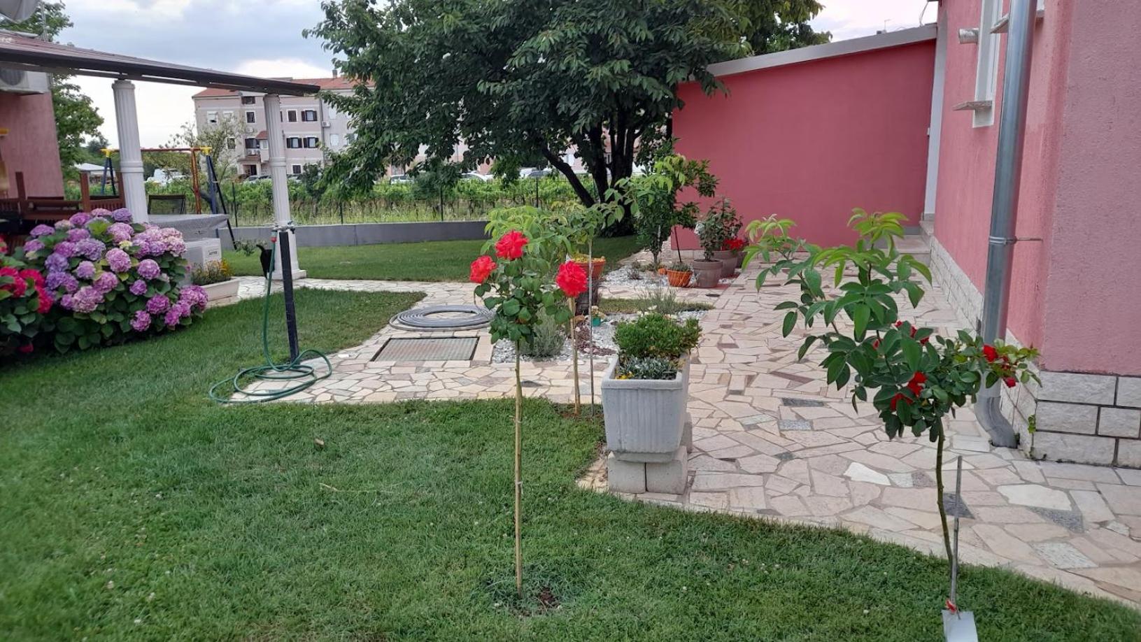 Photo 42