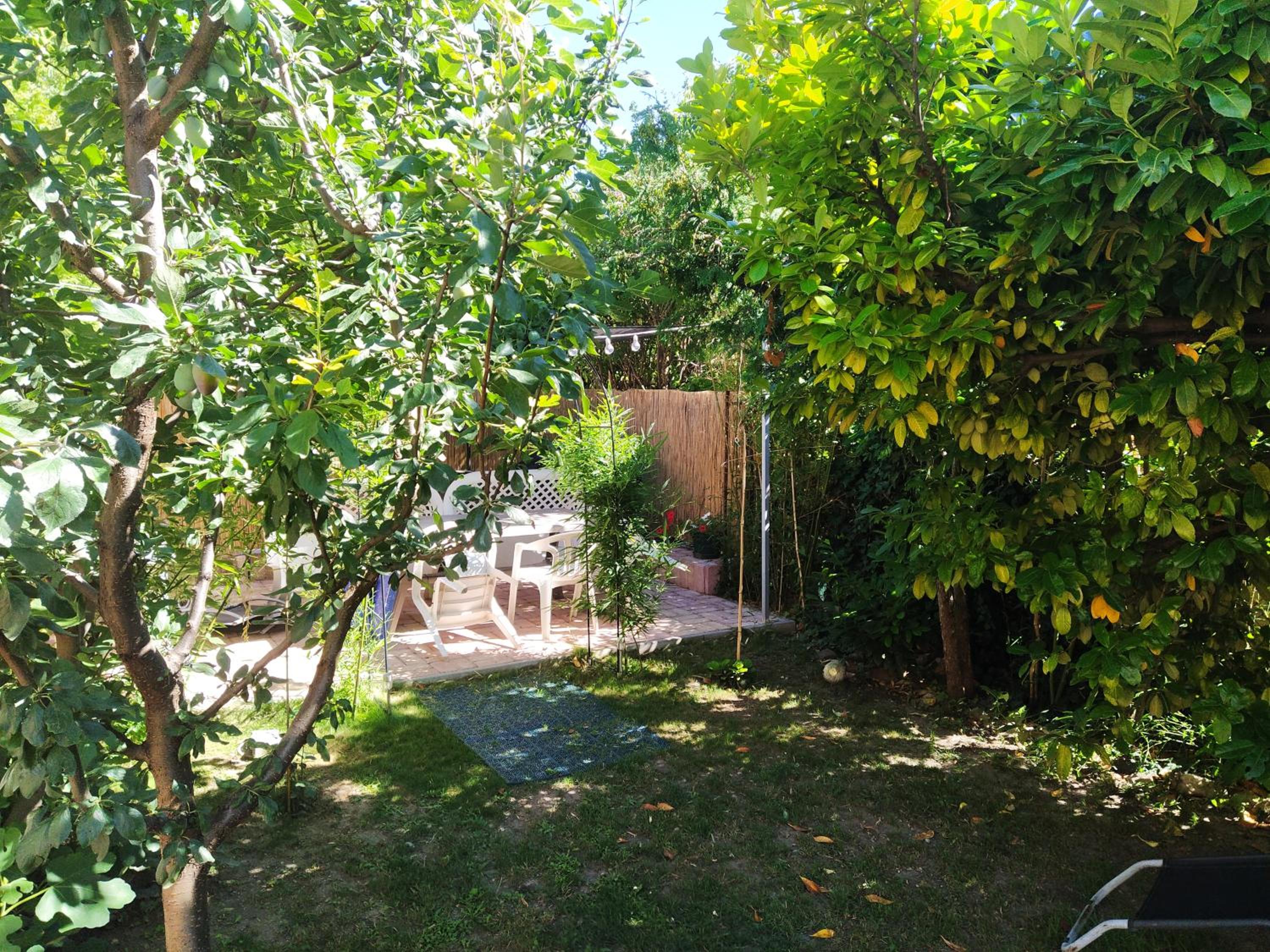 Photo 19