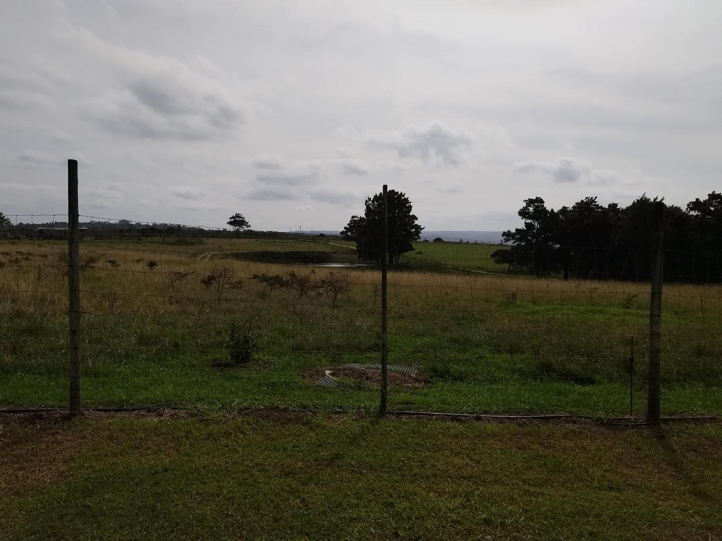 Panorama Farm Cottage