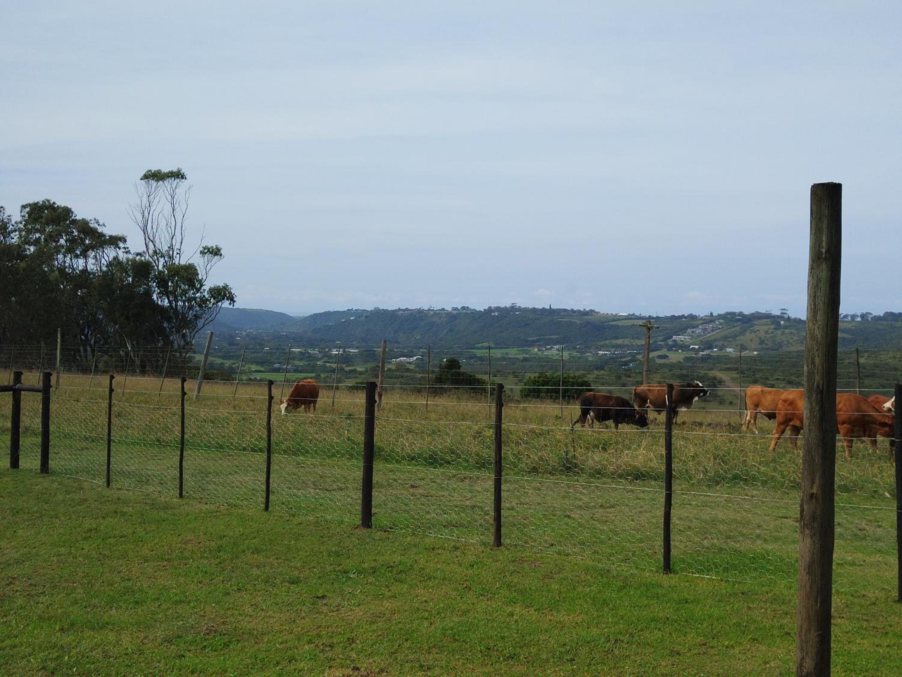 Panorama Farm Cottage