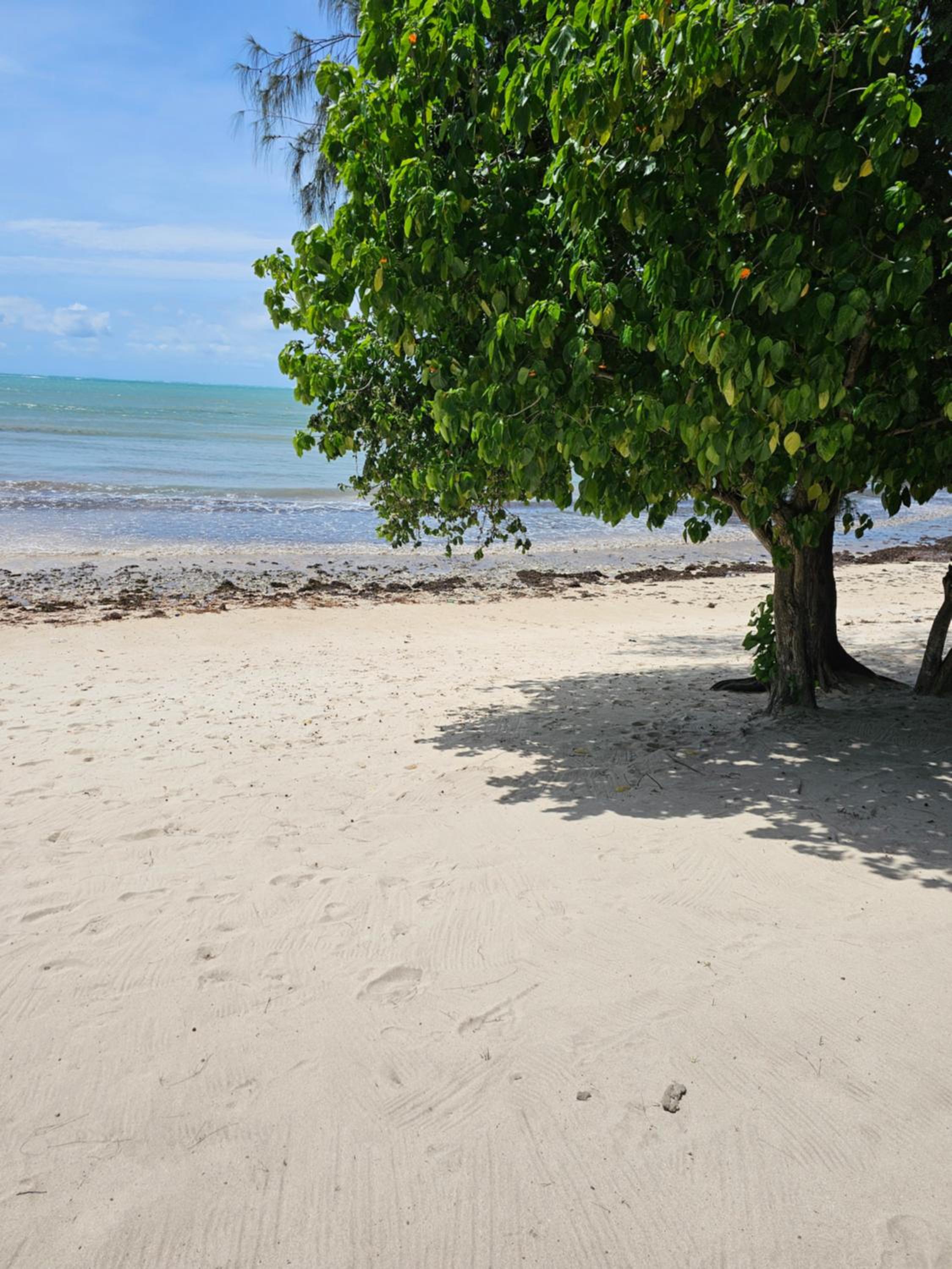 Malindi shores luxury
