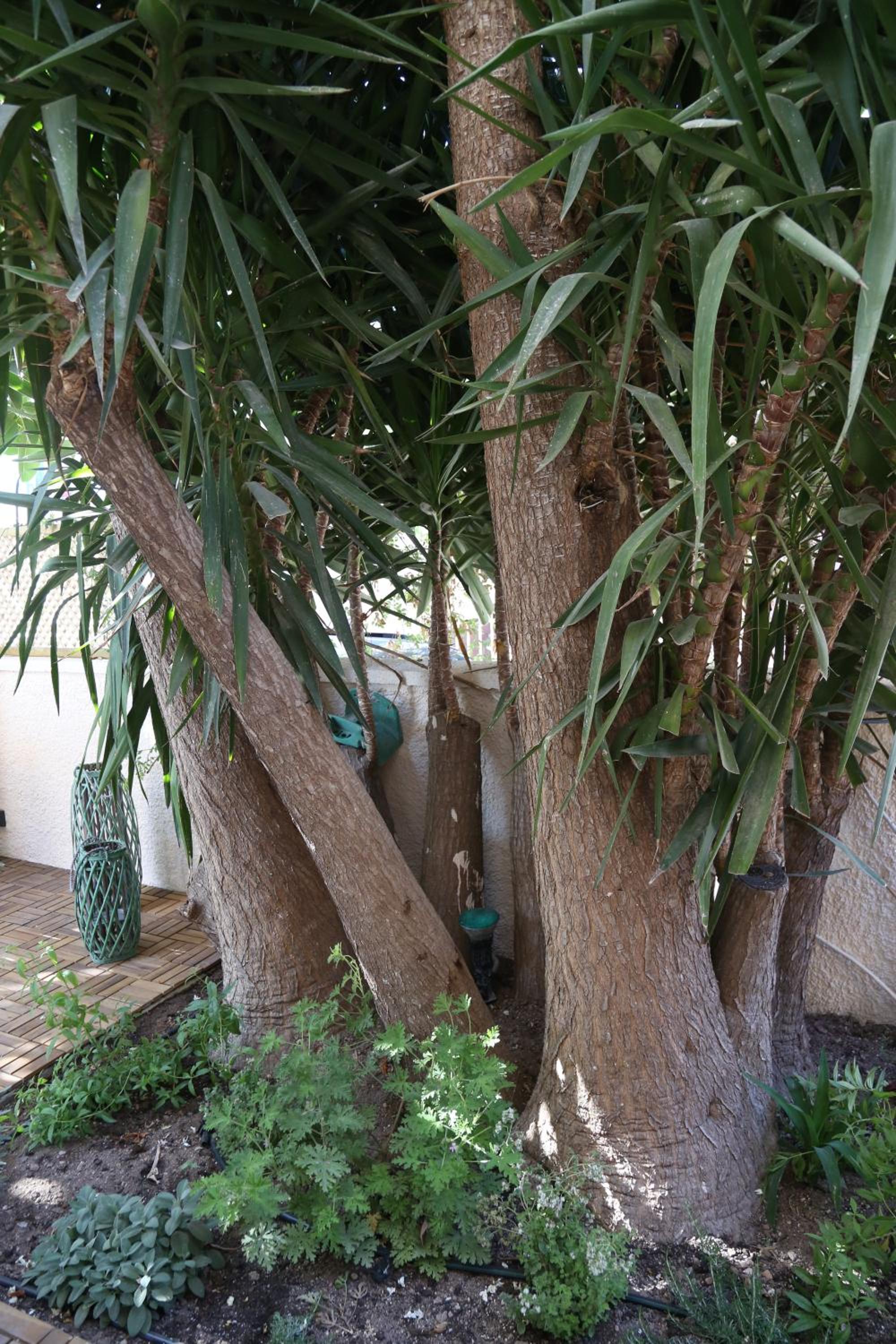 CasaSmaragdi