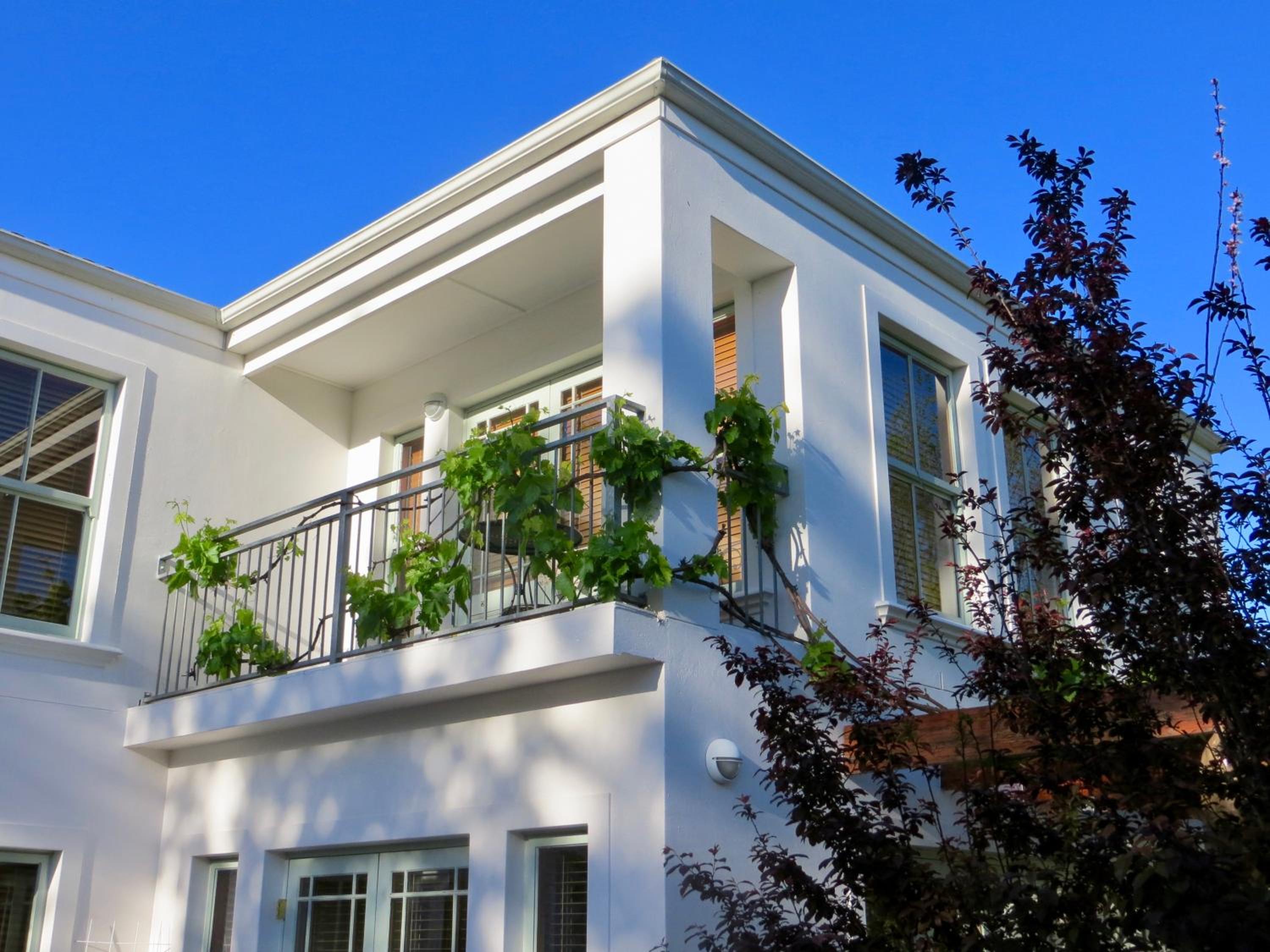 Penelope's Stellenbosch view 3