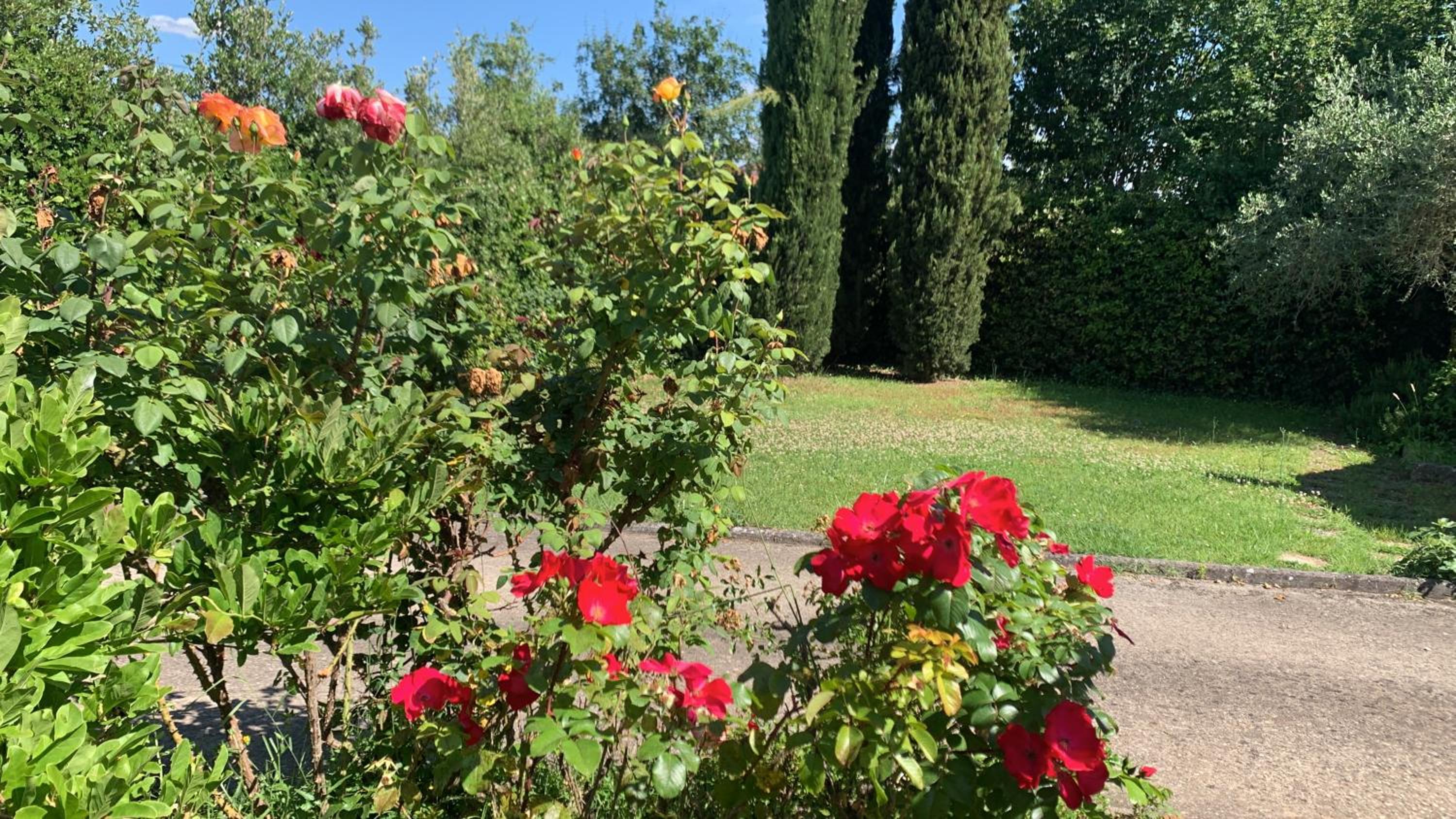 Photo 15