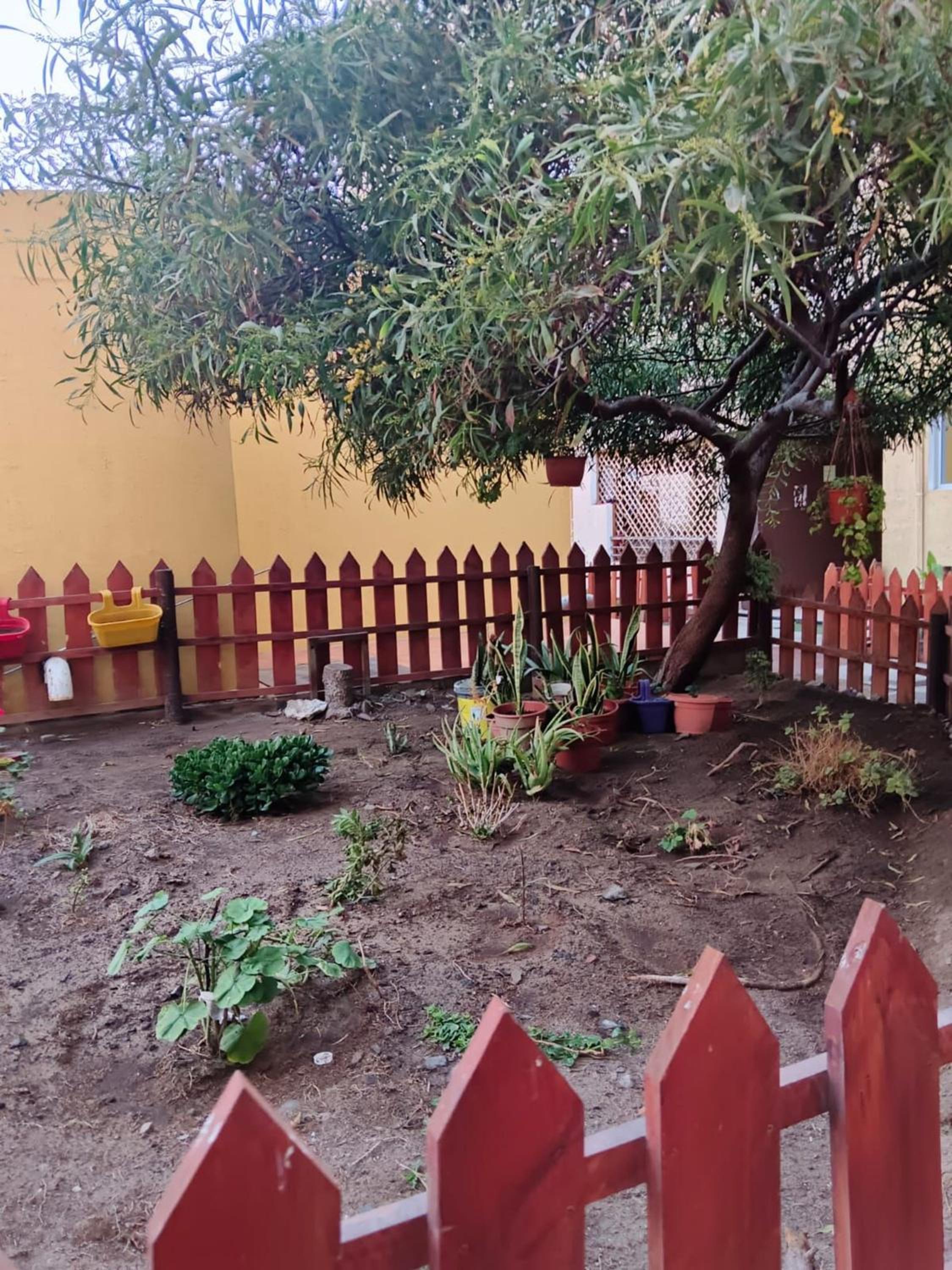 Especial para trabajar, Sector Norte