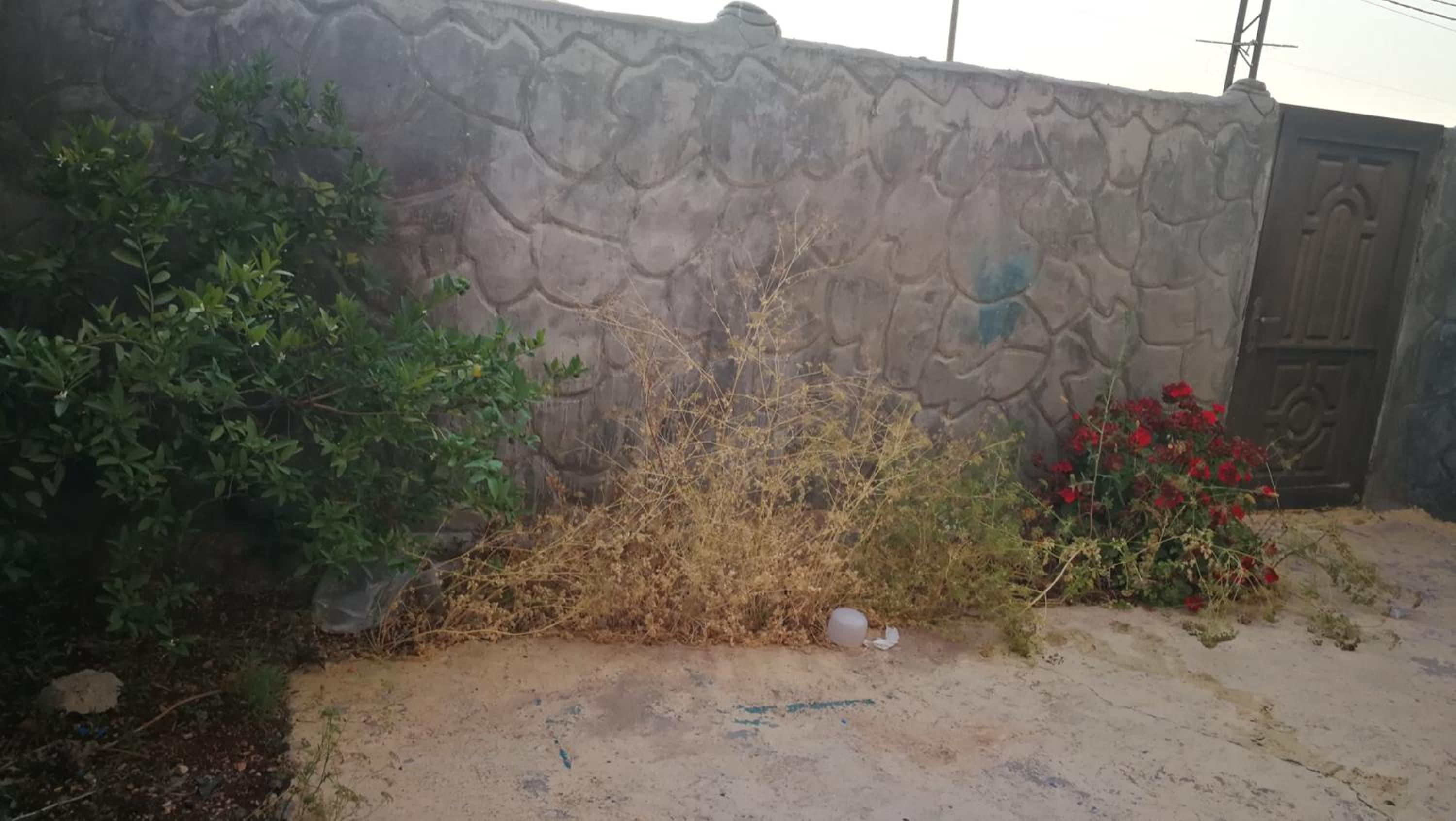 AlArabi