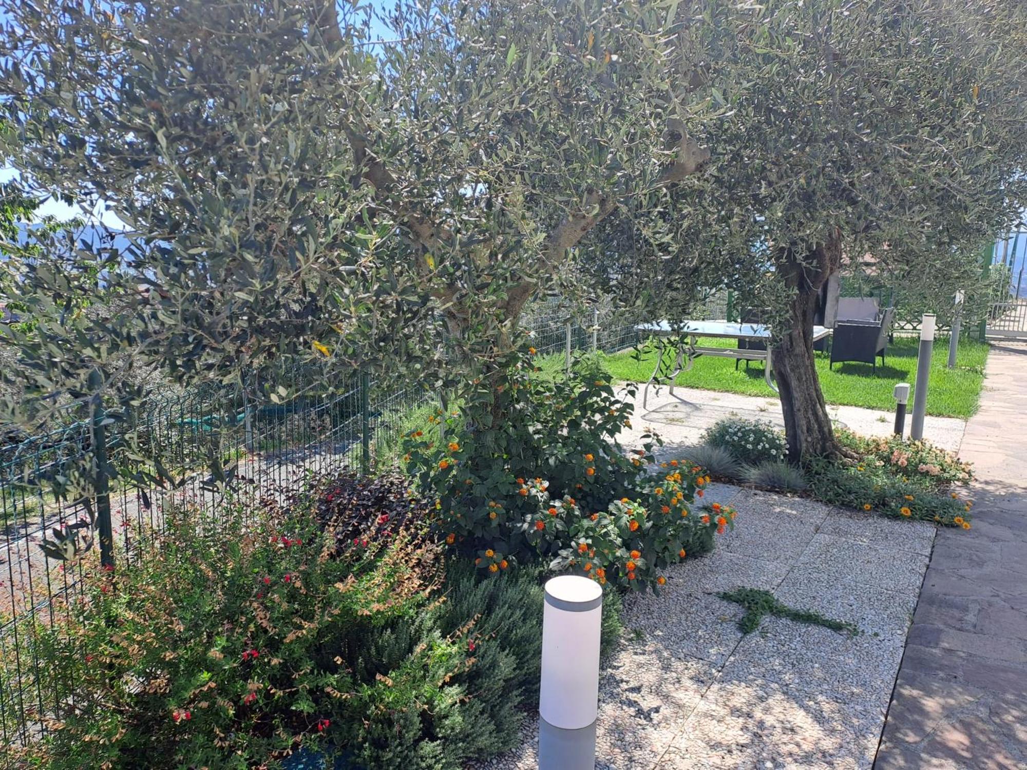 Photo 21